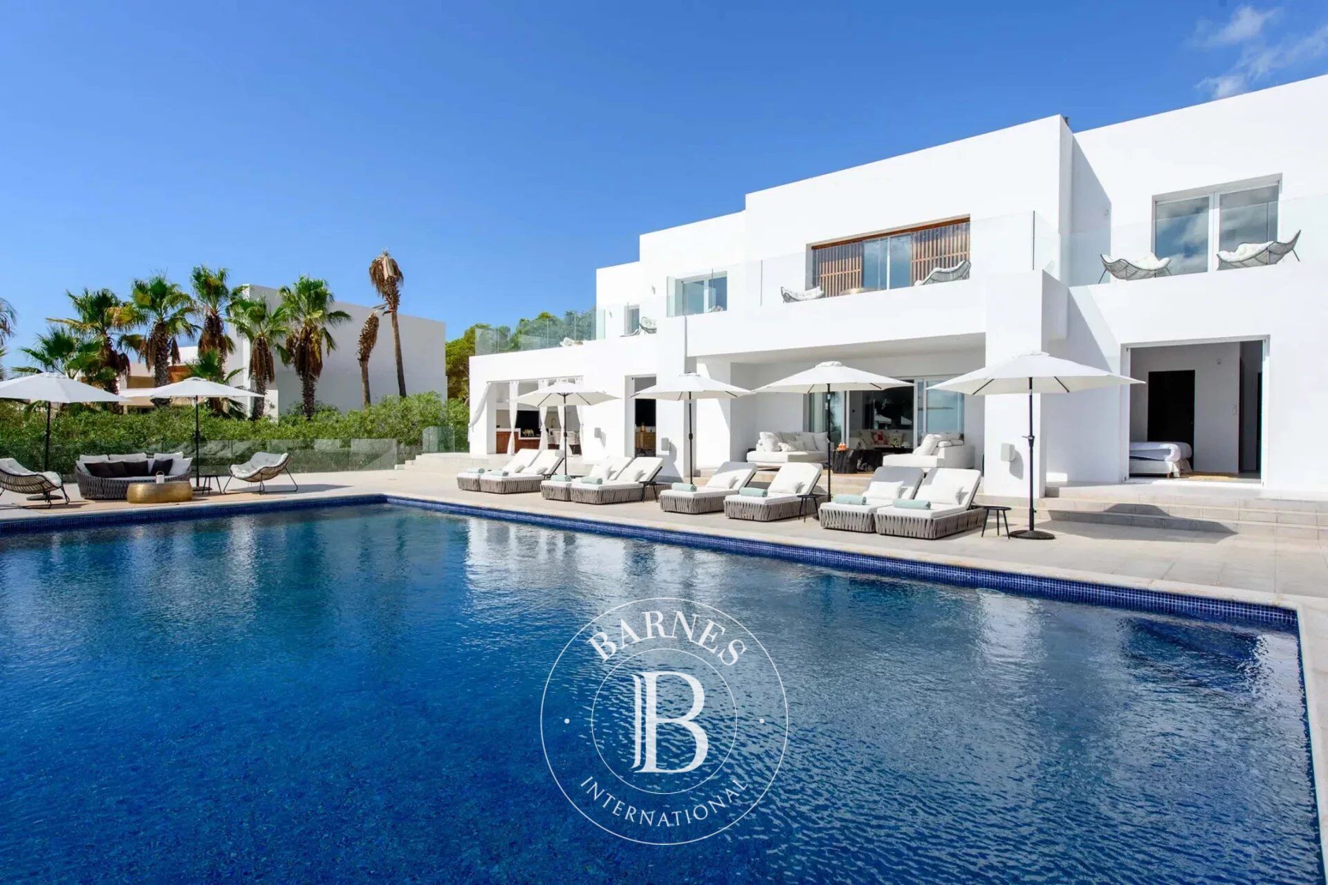 Can Santos - picture 3