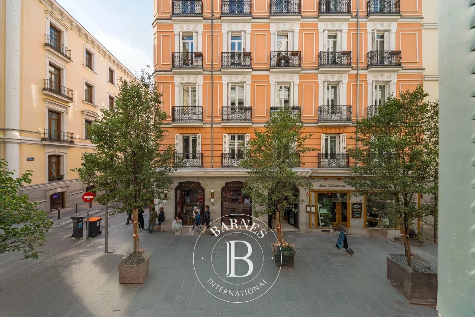 Daire Madrid - picture 14