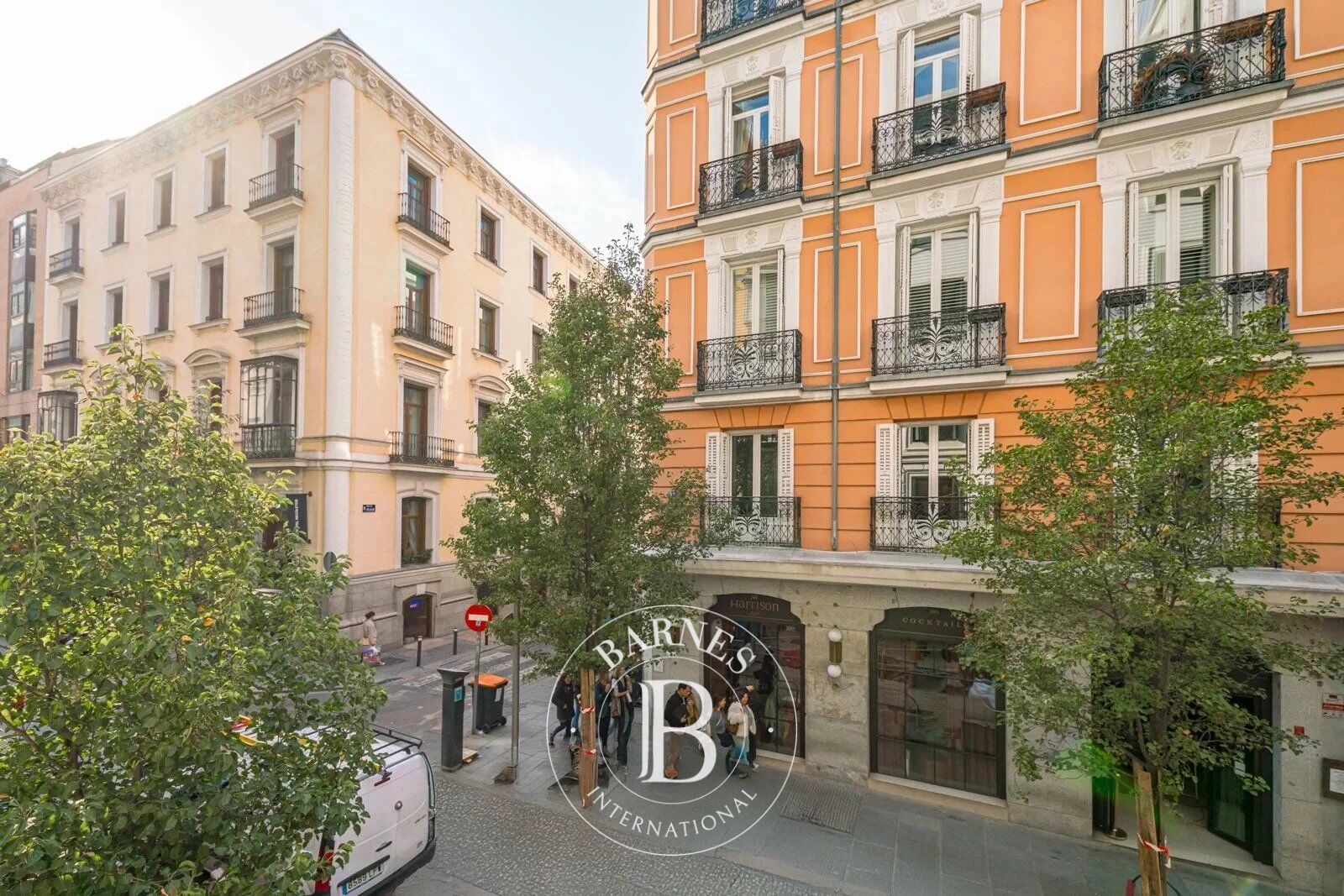 Daire Madrid - picture 12