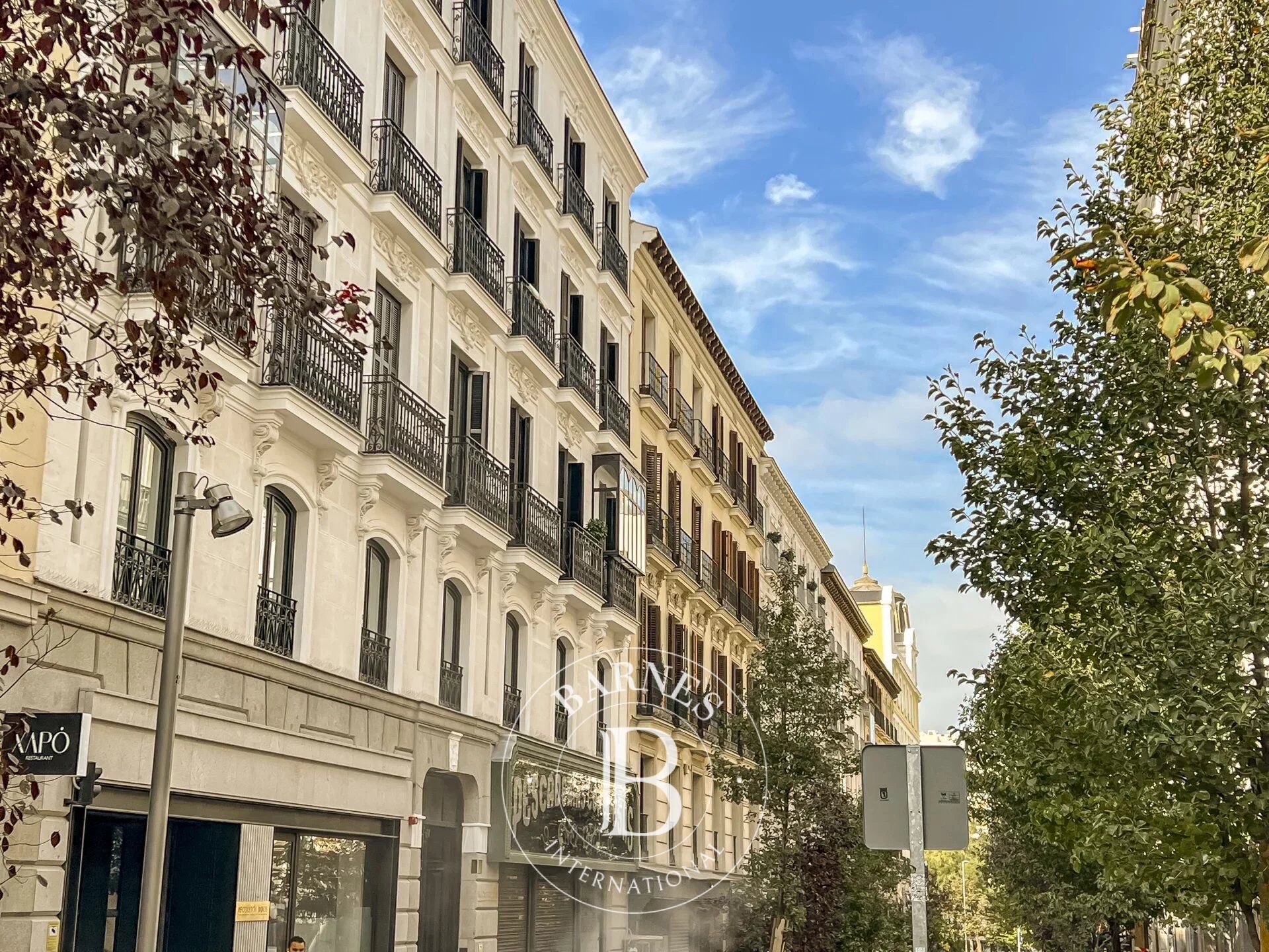 Daire Madrid - picture 15