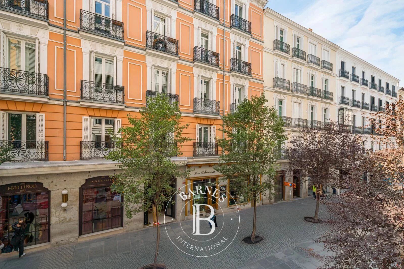 Daire Madrid - picture 13