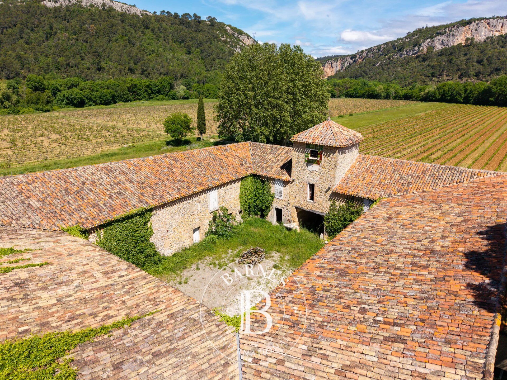 Venta Viñedo | Cabasse - picture 9