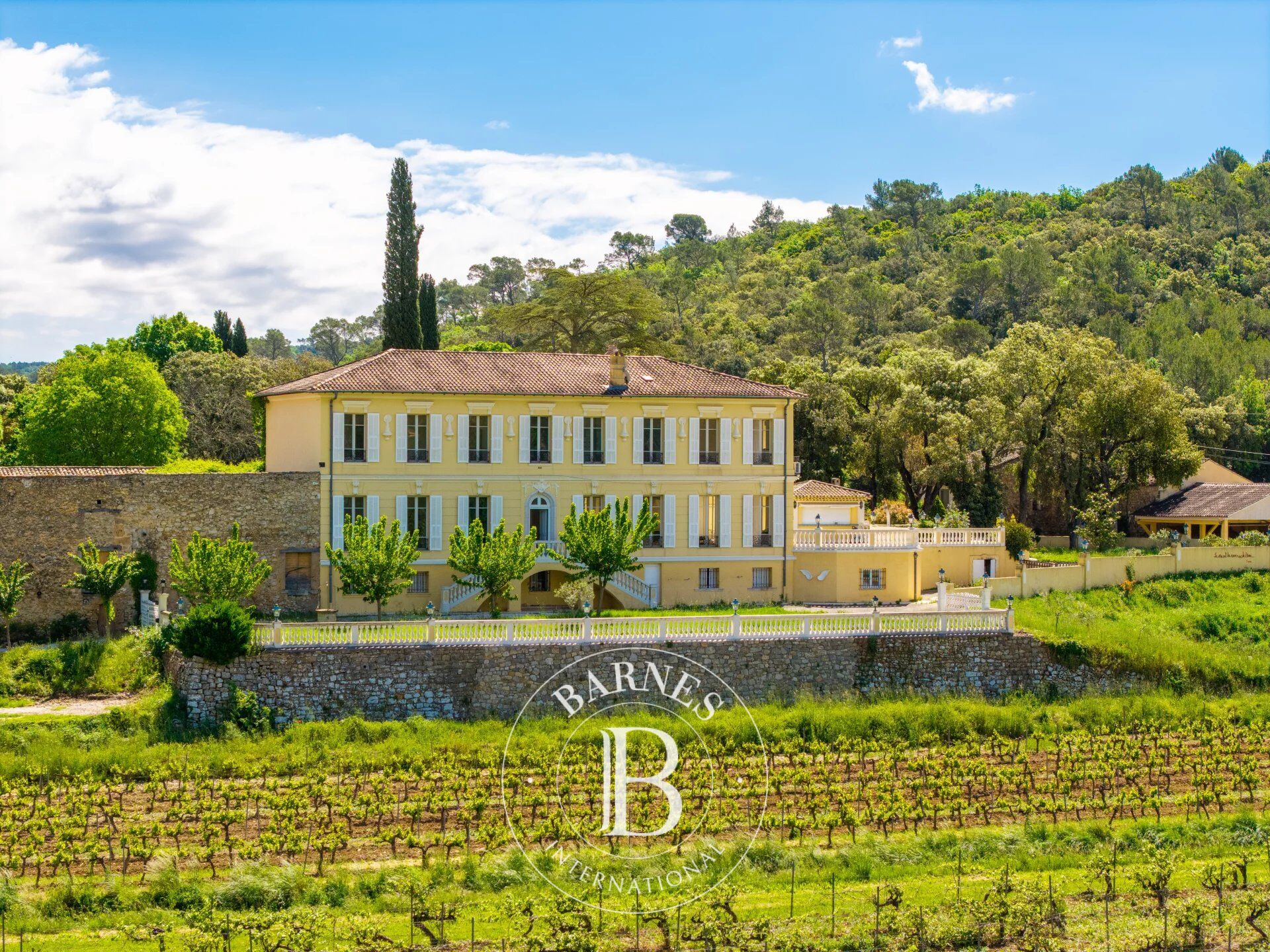 Viñedo Cabasse - picture 3