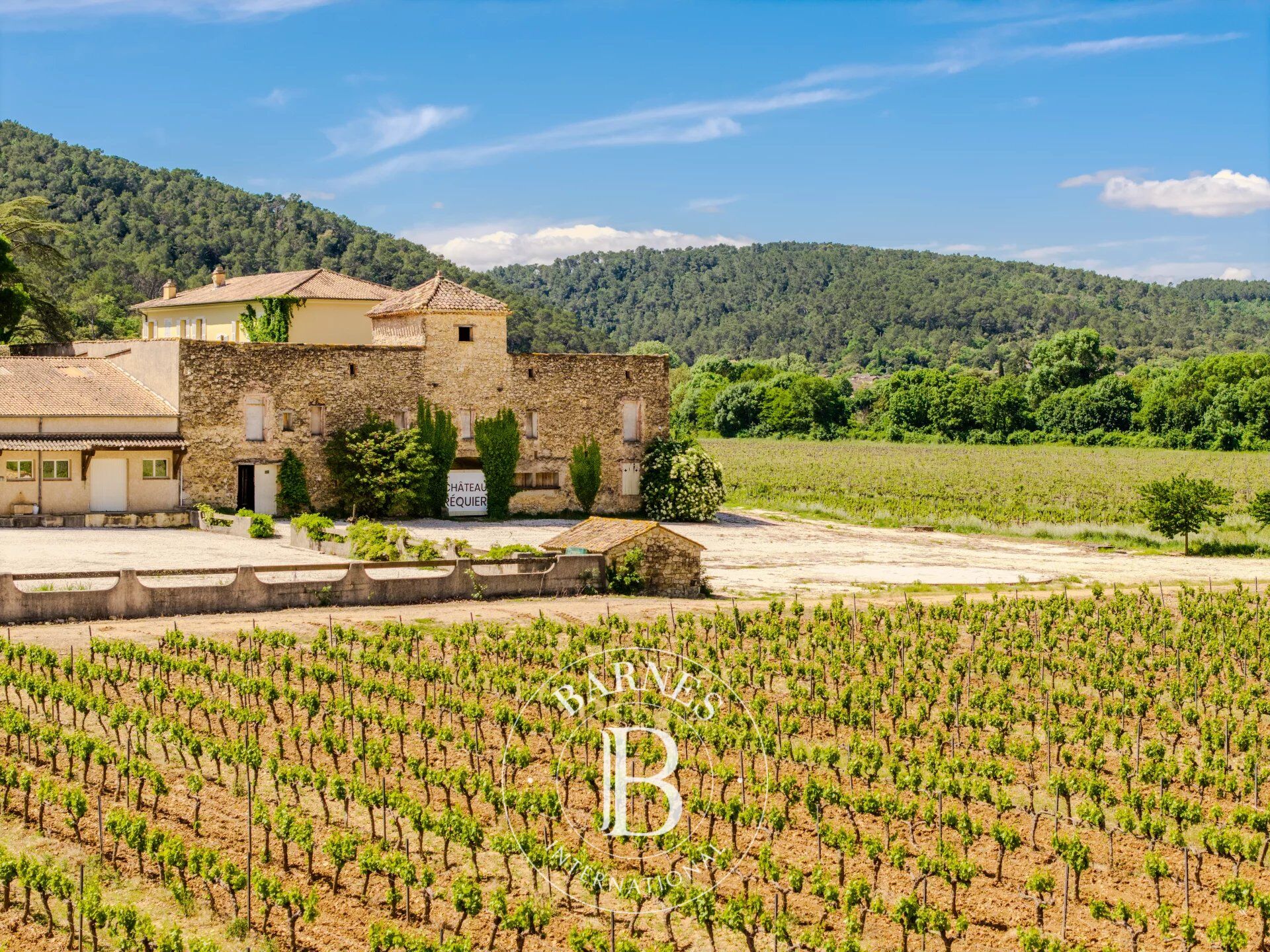 Venta Viñedo | Cabasse - picture 8