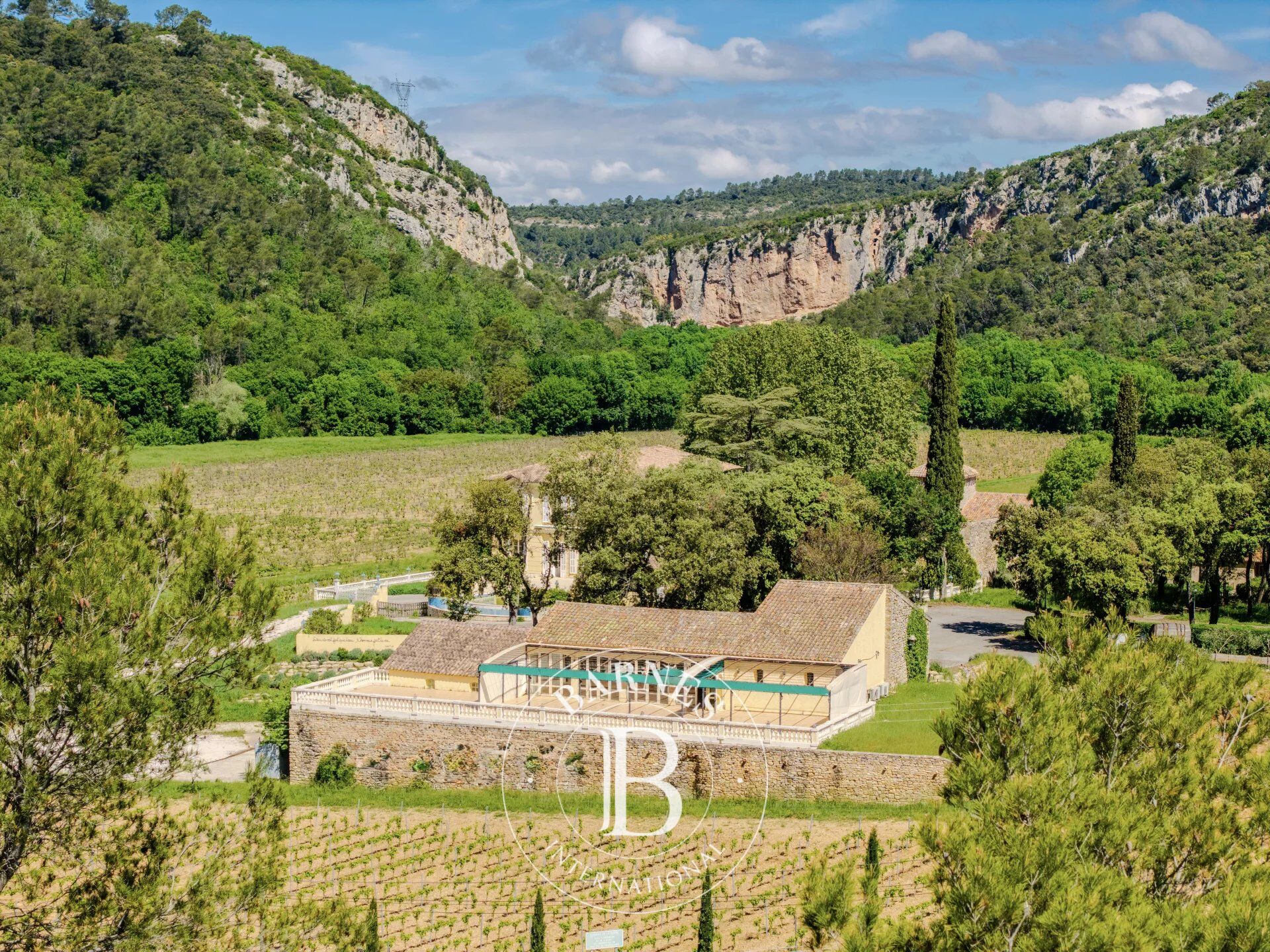 Venta Viñedo | Cabasse - picture 10