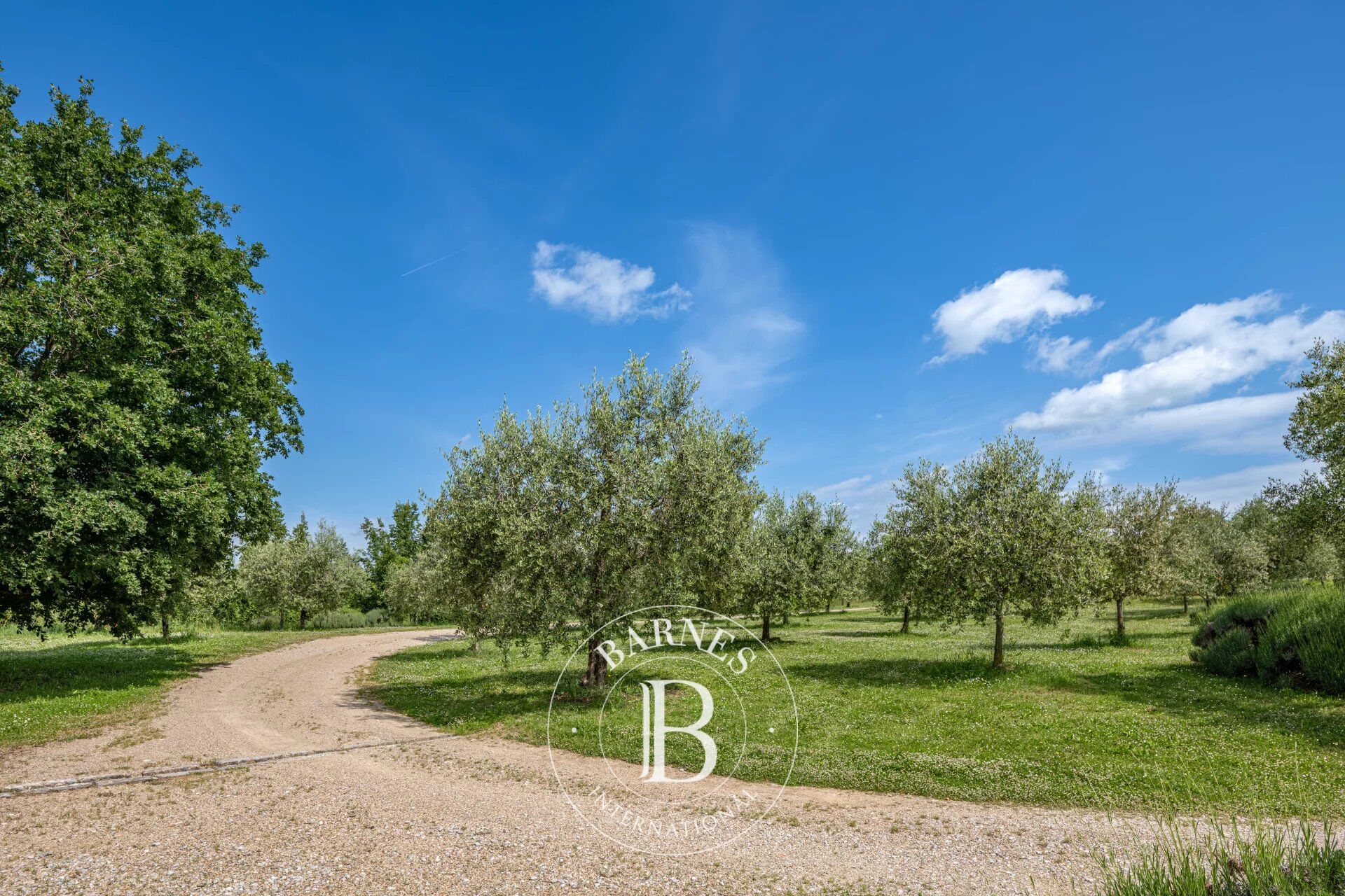 Mülkiyet Gaiole in Chianti - picture 26