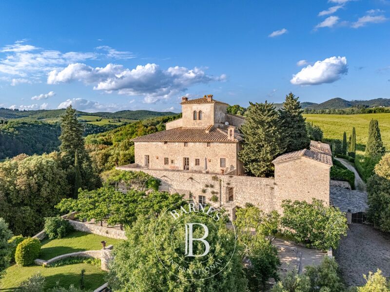 Venta, Finca Gaiole in Chianti - picture 2