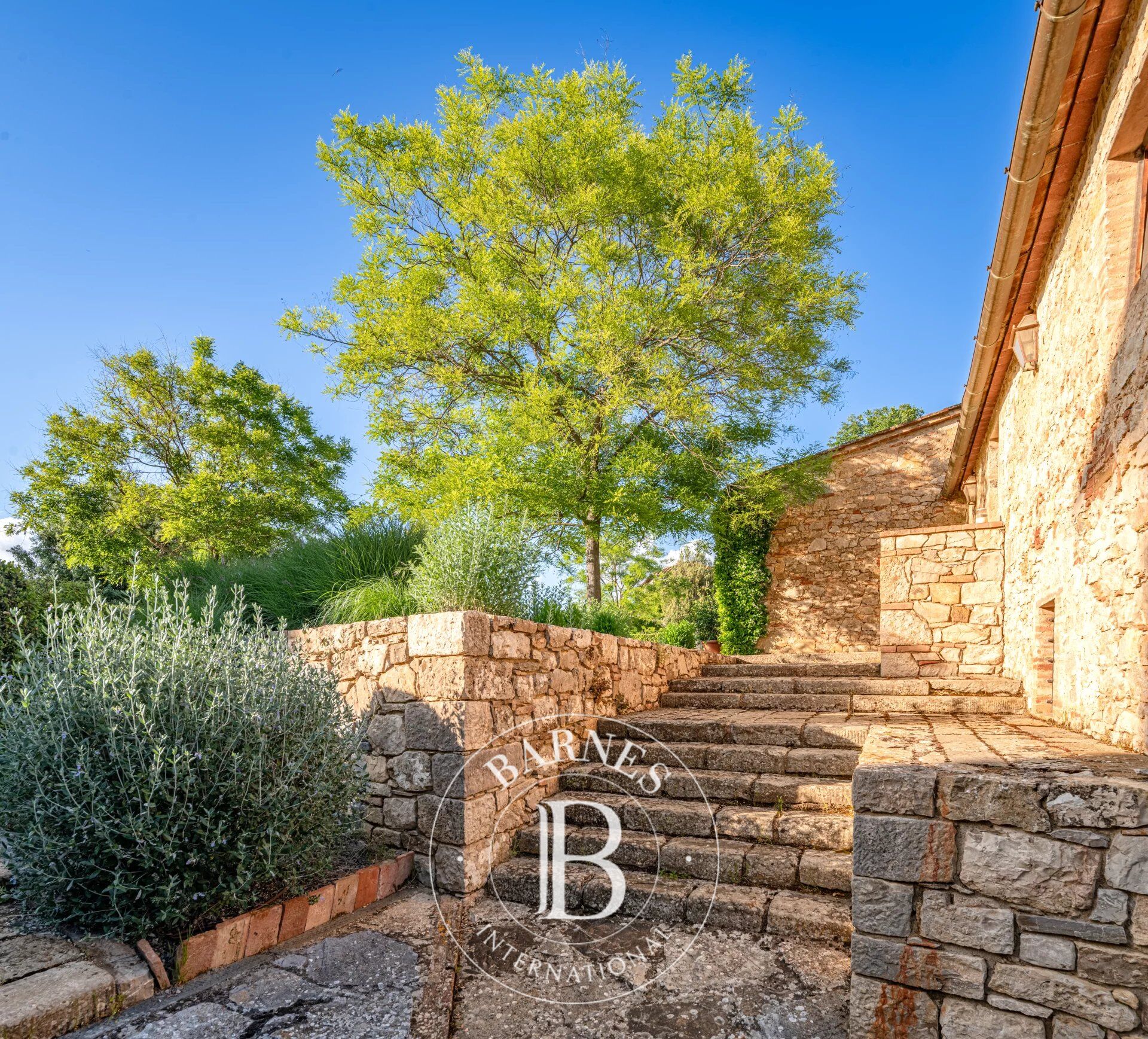 Mülkiyet Gaiole in Chianti - picture 22