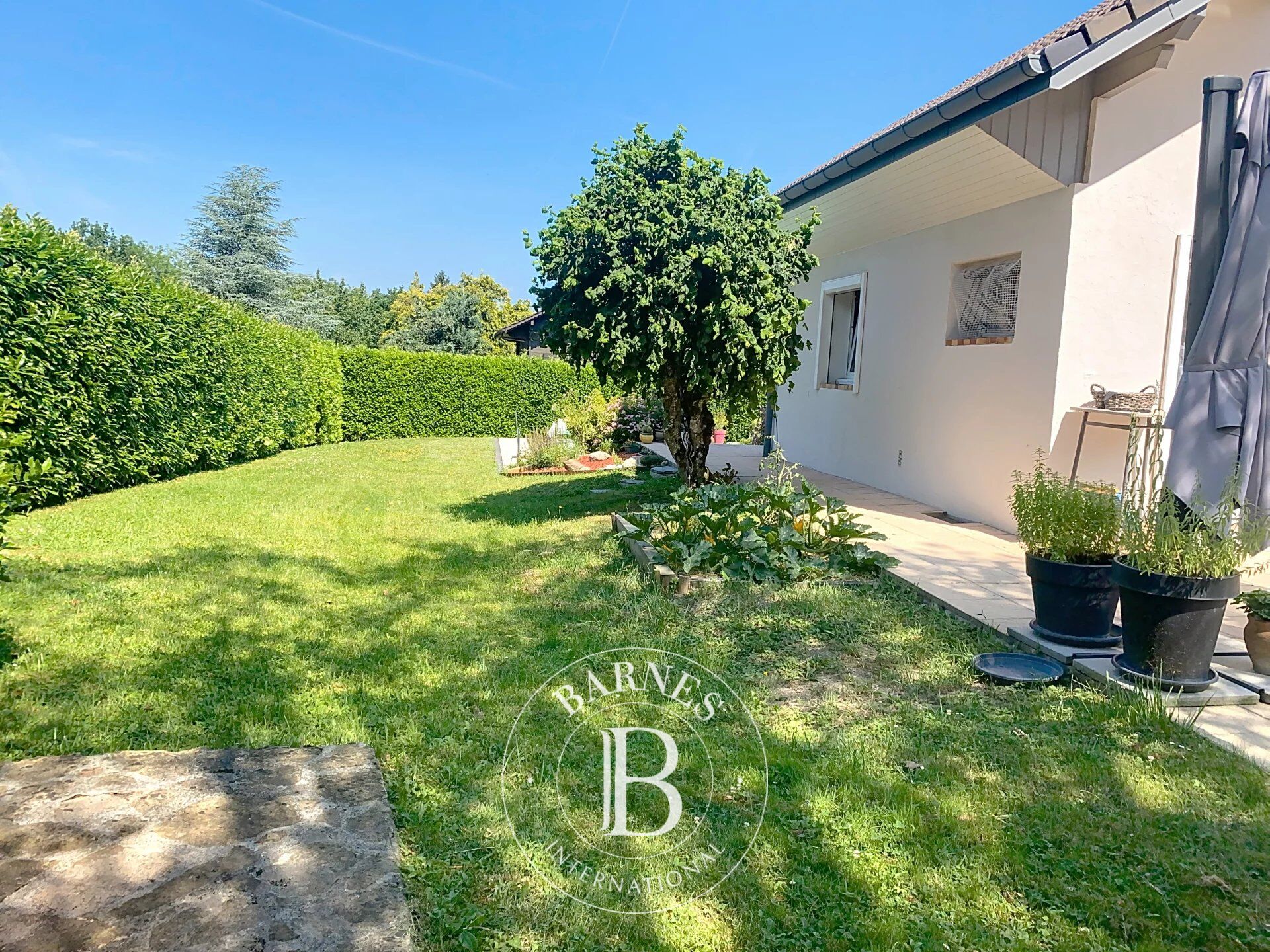 Ev Sciez - picture 4