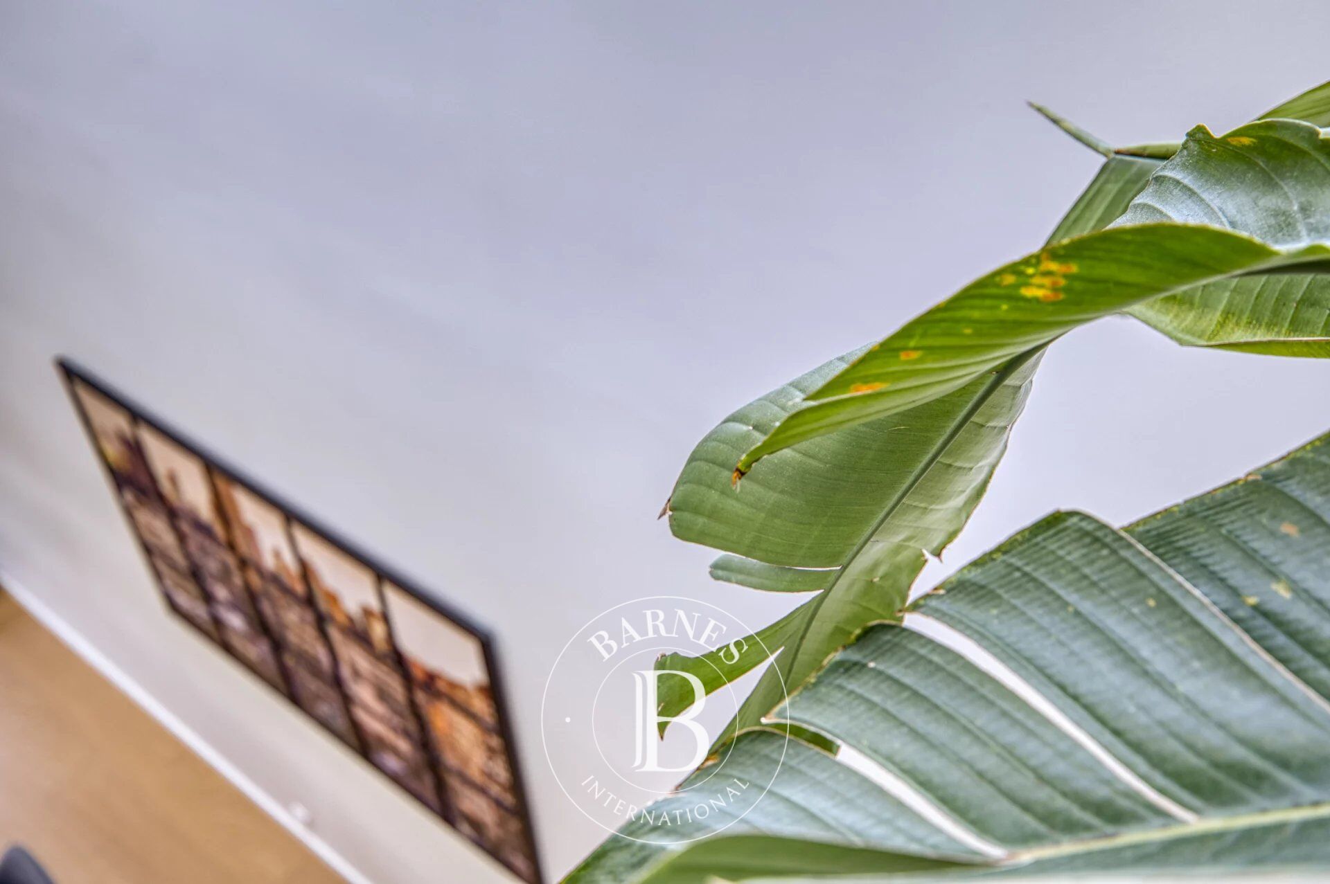 Villa Divonne-les-Bains - picture 20