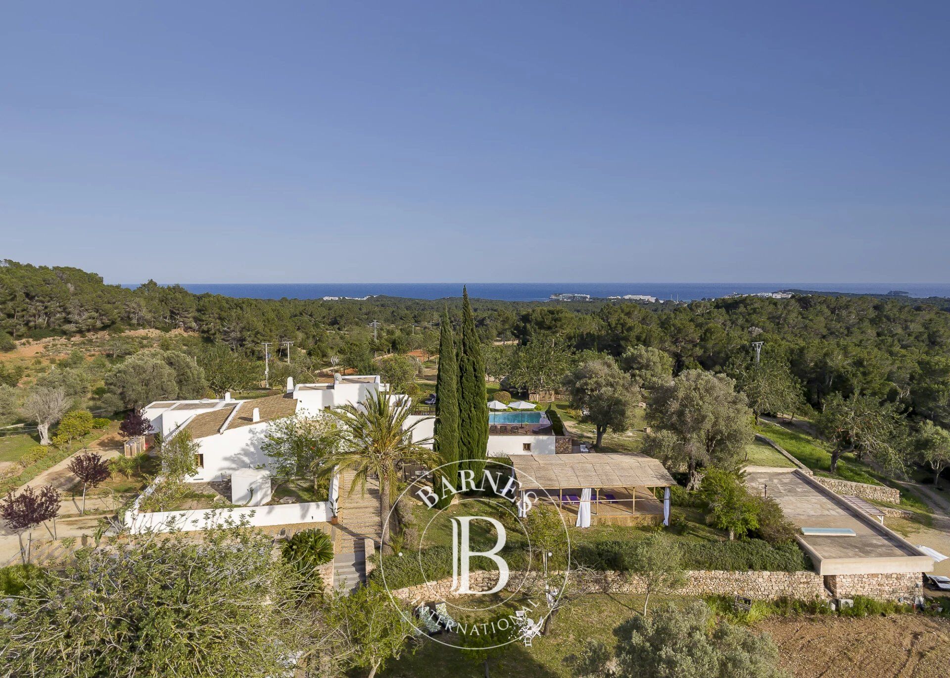 Villa Isla de Ibiza - picture 1