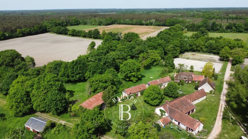 Venta, Finca Gy-en-Sologne - picture 1