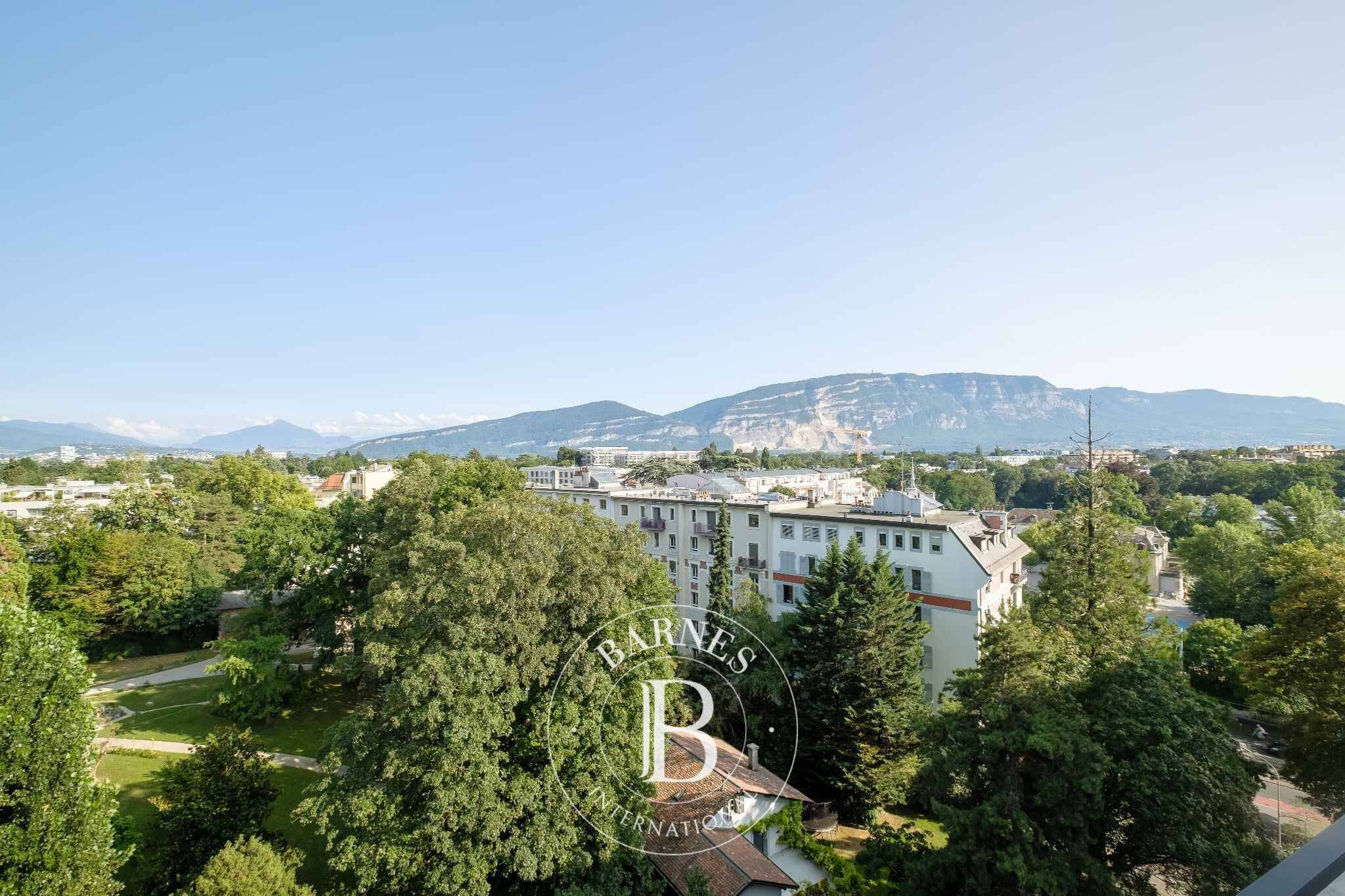 Penthouse Genève - picture 6