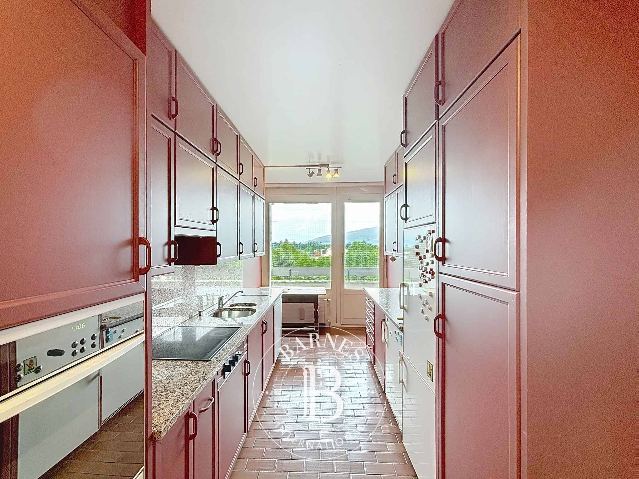 Penthouse Genève - picture 4