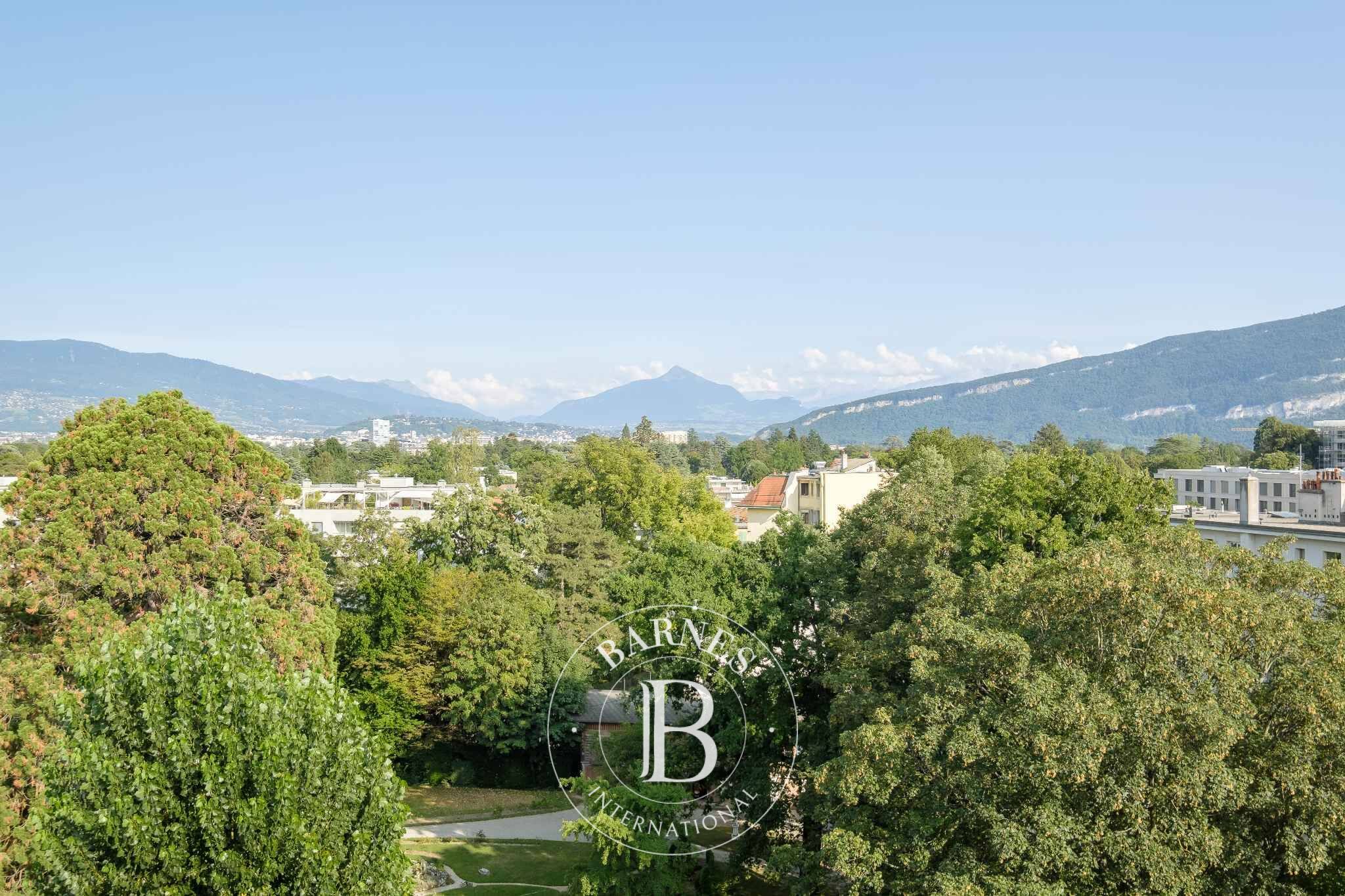 Penthouse Genève - picture 7