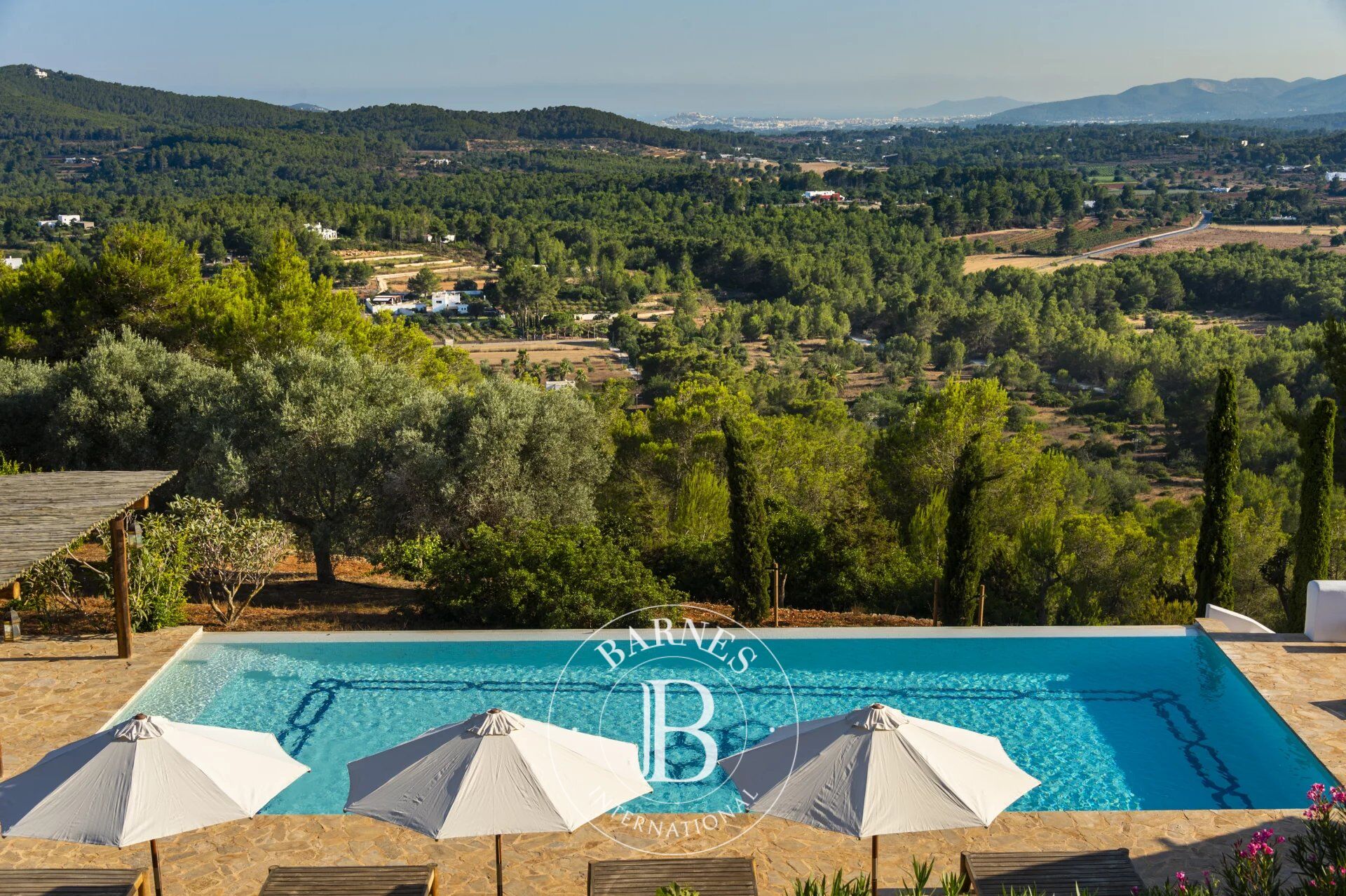 Can Mayans - picture 3