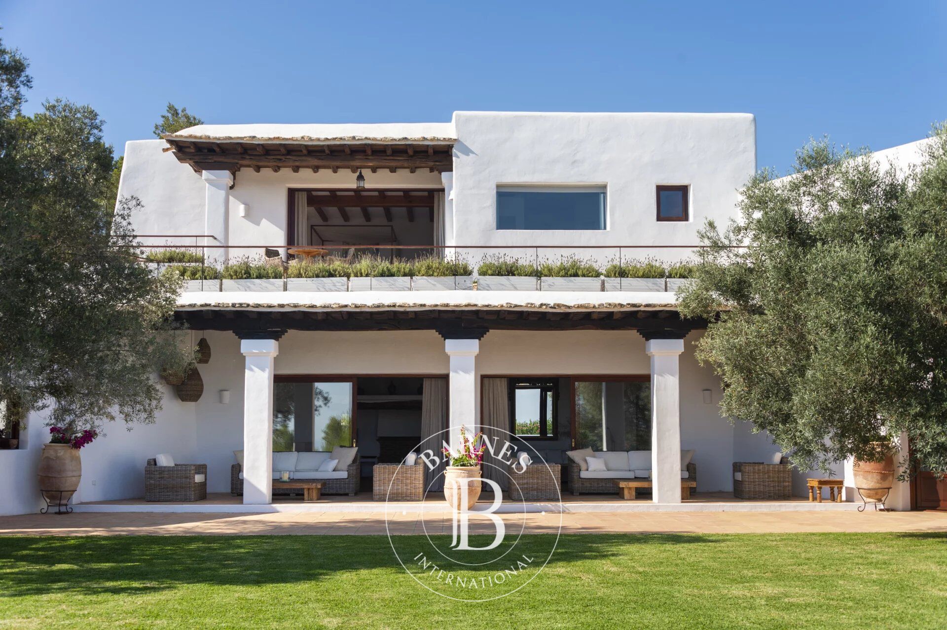 Can Mayans - picture 2