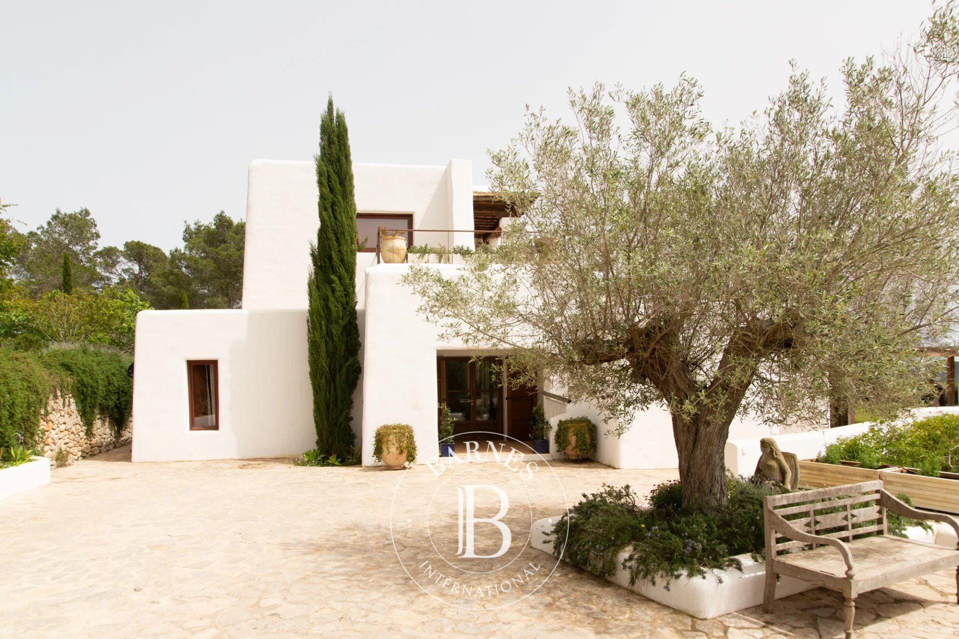 Can Mayans - picture 1