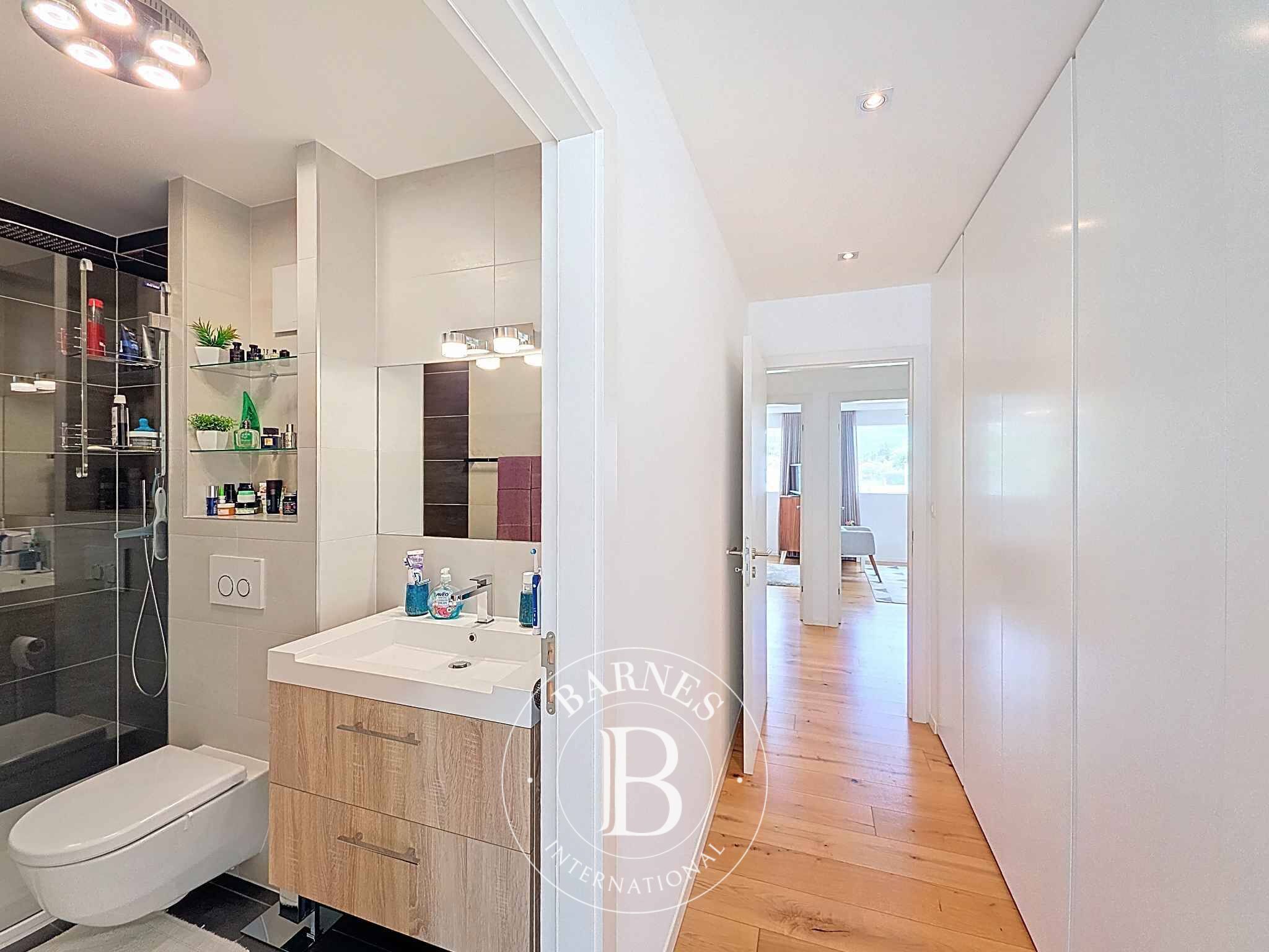 Daire Vétroz - picture 8