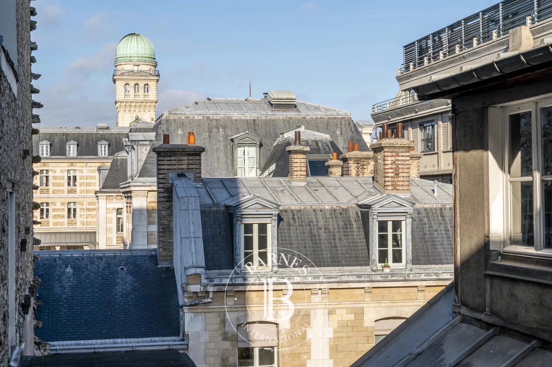 PARIS 5 - Panthéon - Unobstructed views - 16th century charm - picture 3