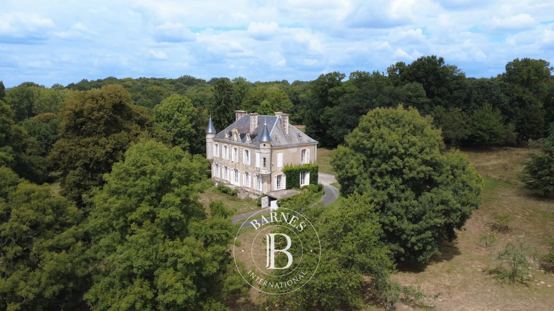 Castillo Saint-Maixent-de-Beugné - picture 1