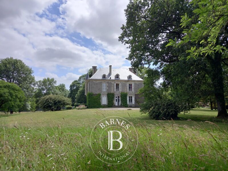 À vendre Château | Niort - picture 1