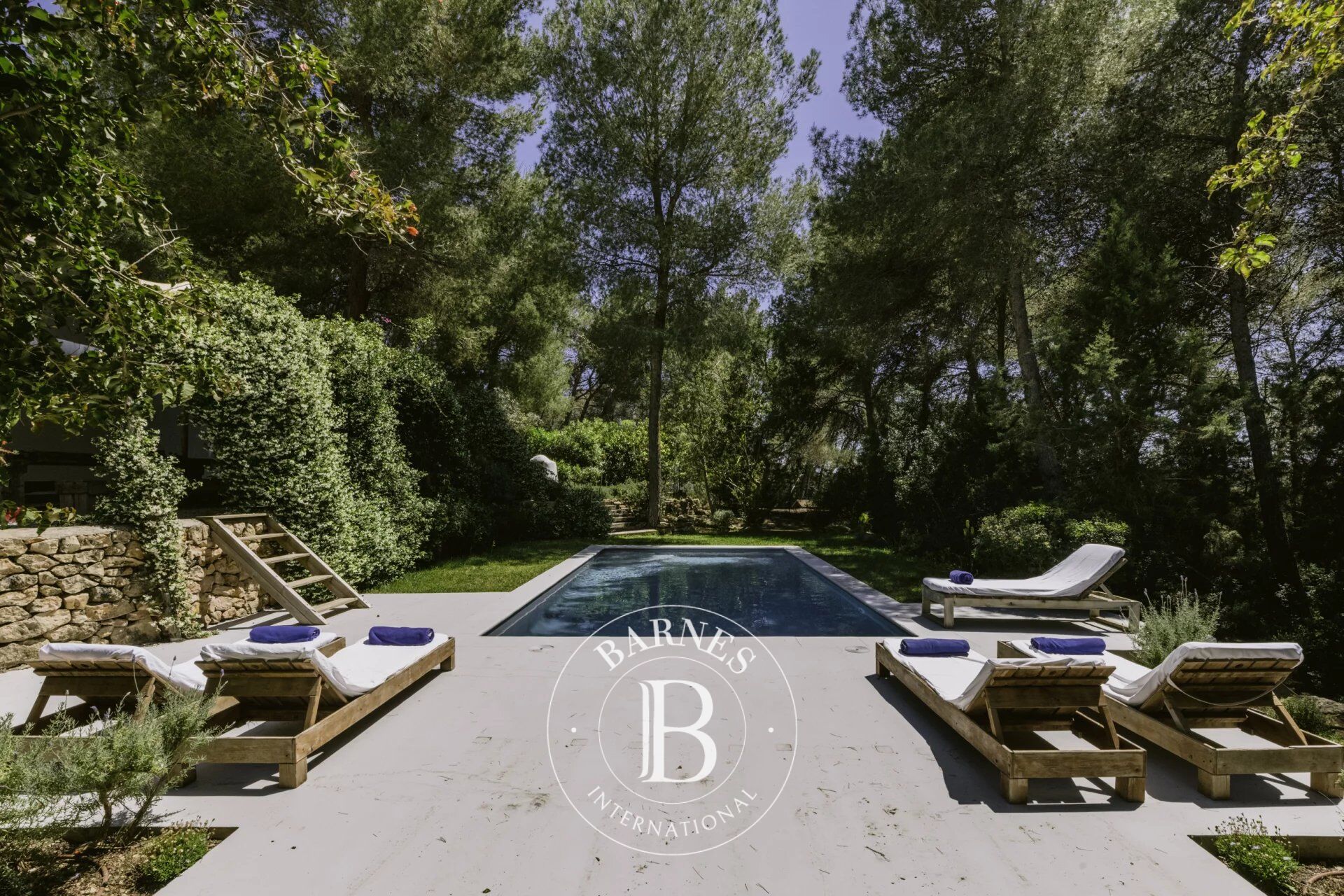 Finca Fleur - picture 2