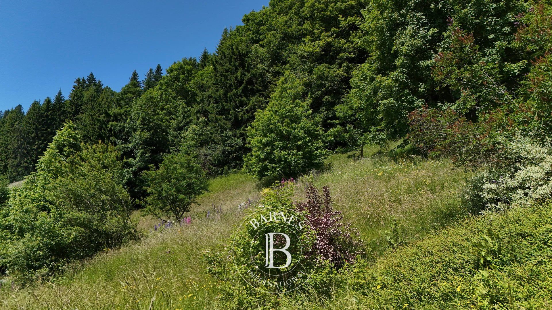 Arazi Les Gets - picture 5