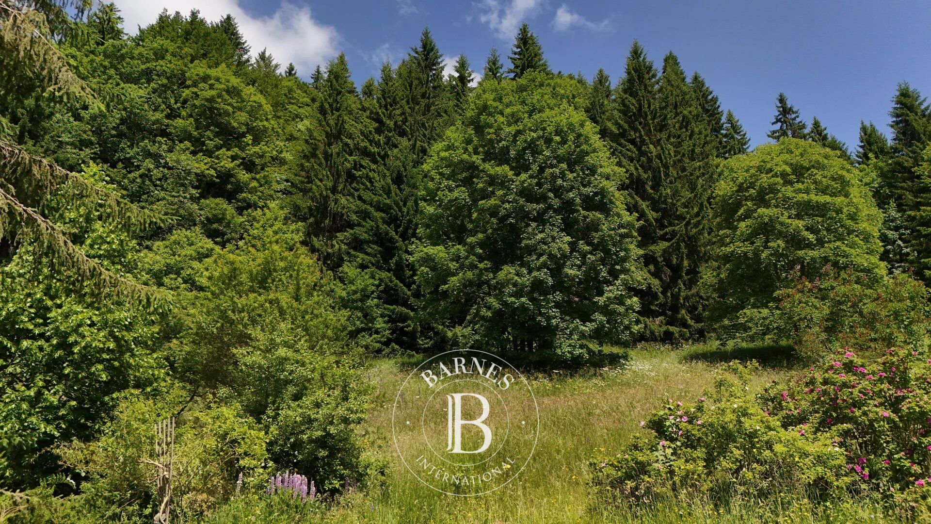 Arazi Les Gets - picture 4