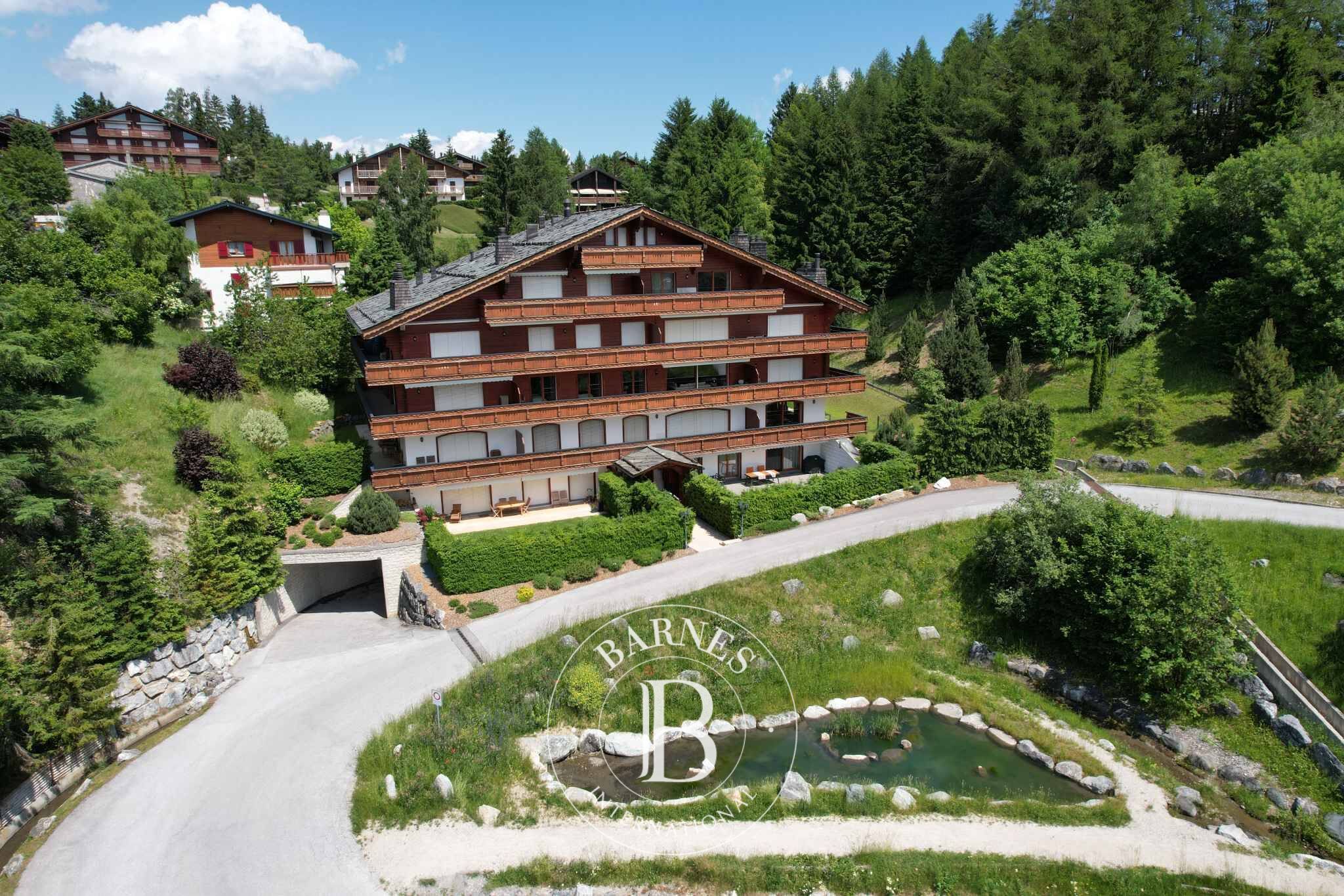 Daire Crans-Montana - picture 5