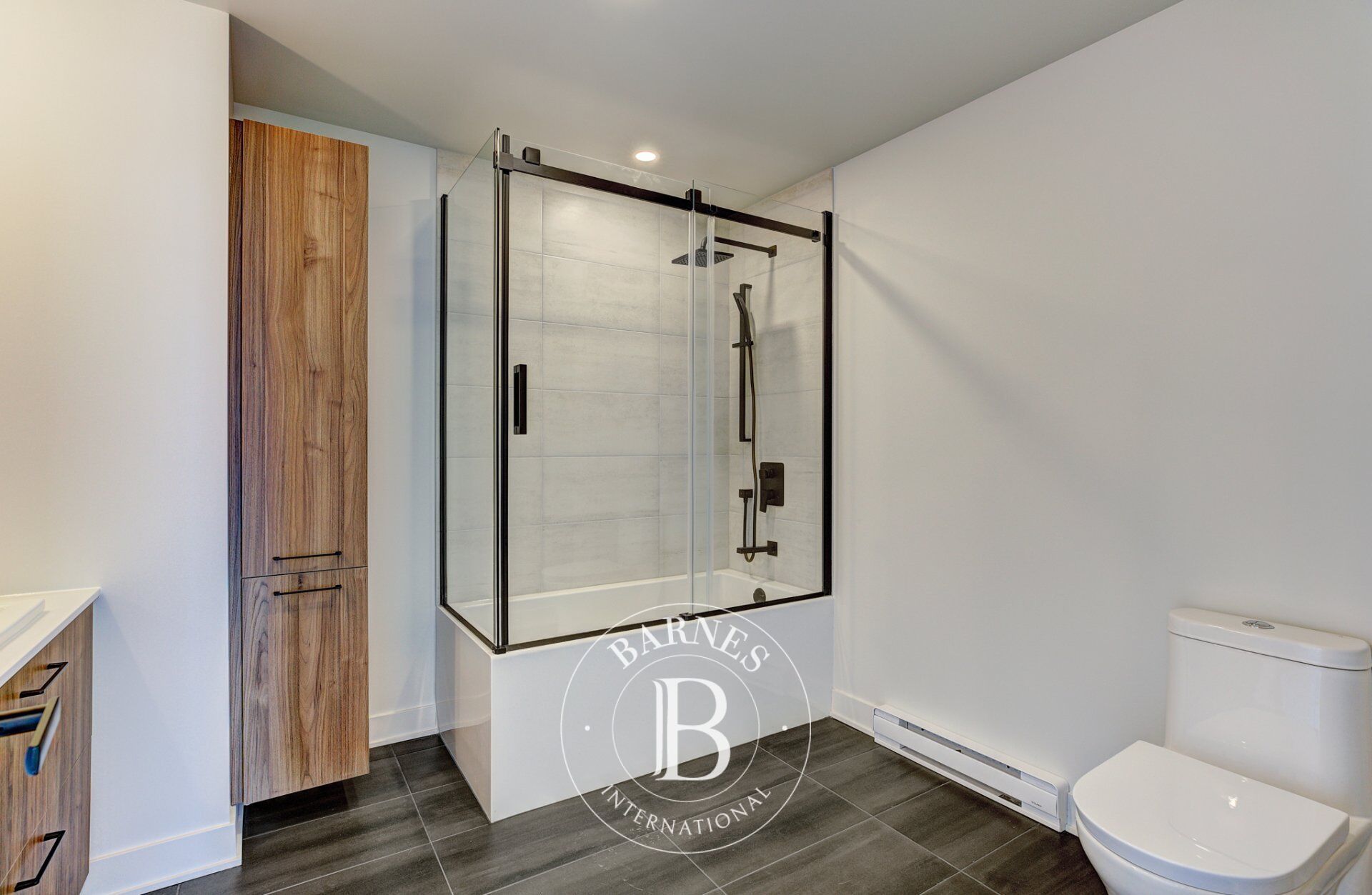 Daire Laval (Chomedey) - picture 12