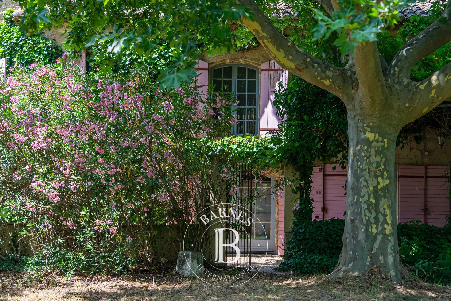 Masía Cavaillon - picture 3