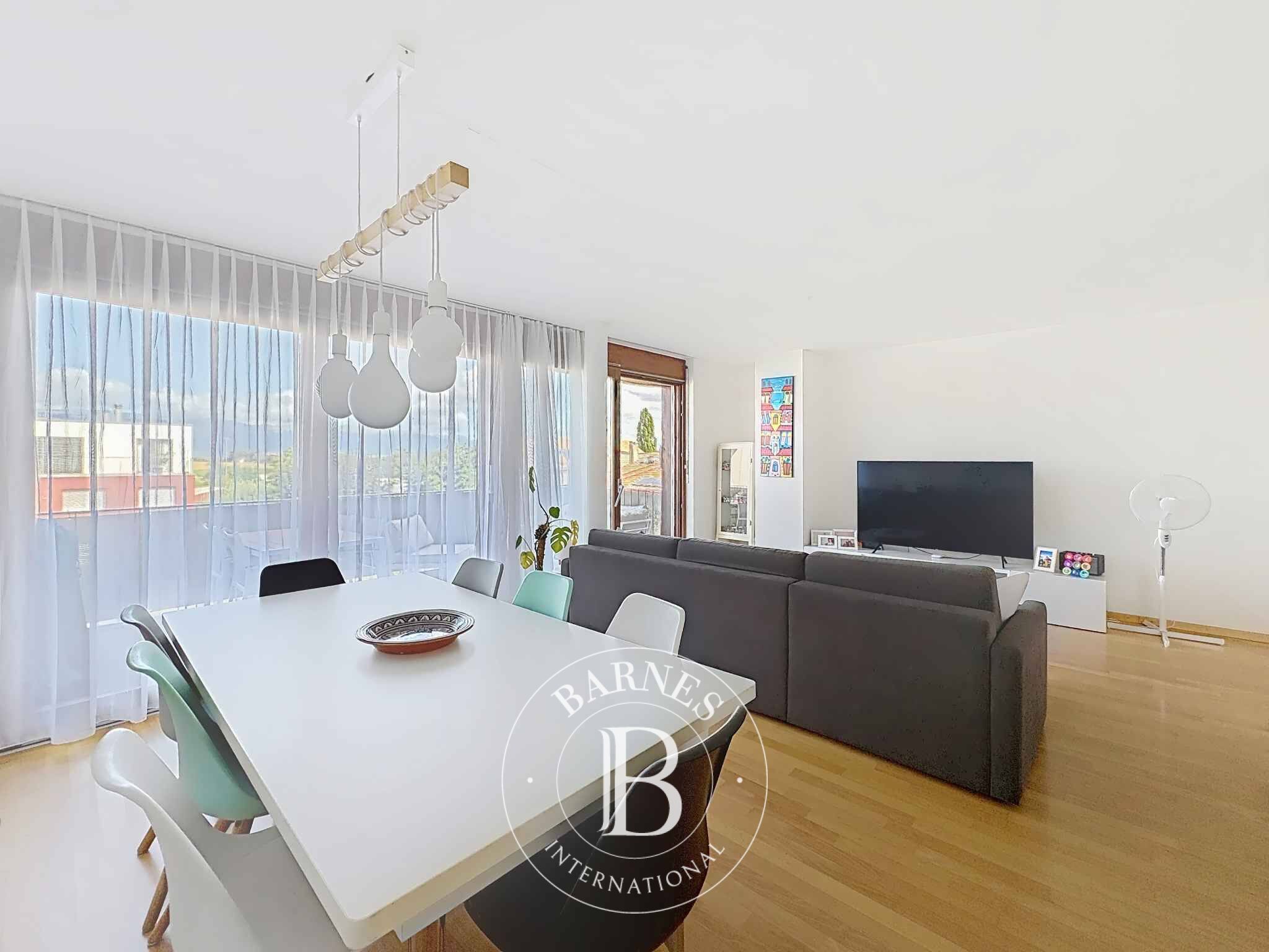 Penthouse Plan-les-Ouates - picture 2