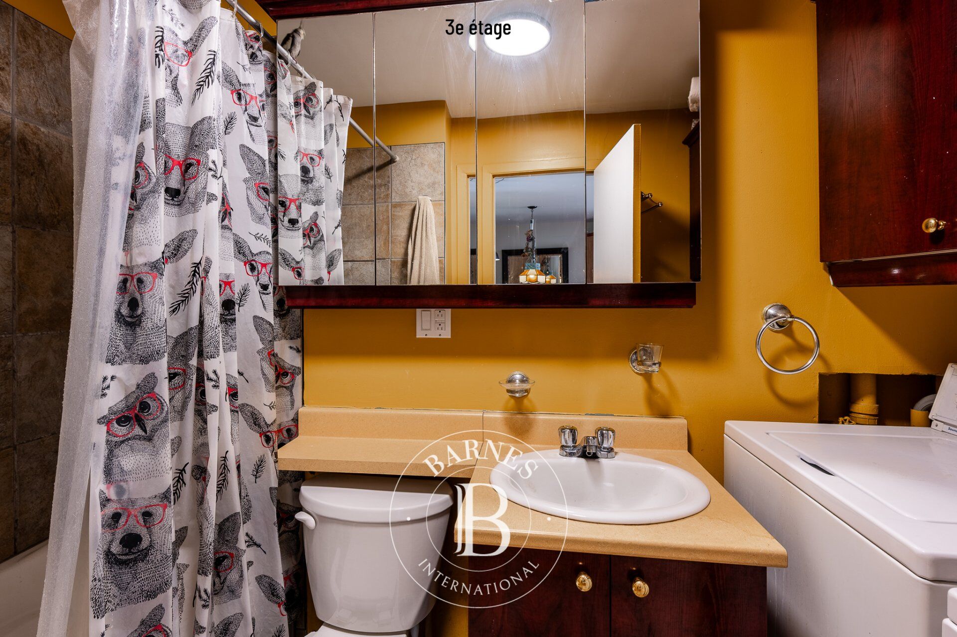 Daire Montréal (Ville-Marie) - picture 27