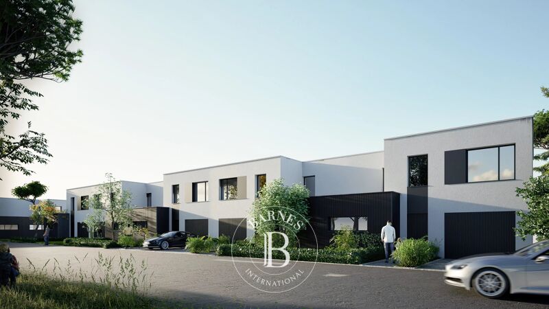 Obra Nueva Mamer - picture 2