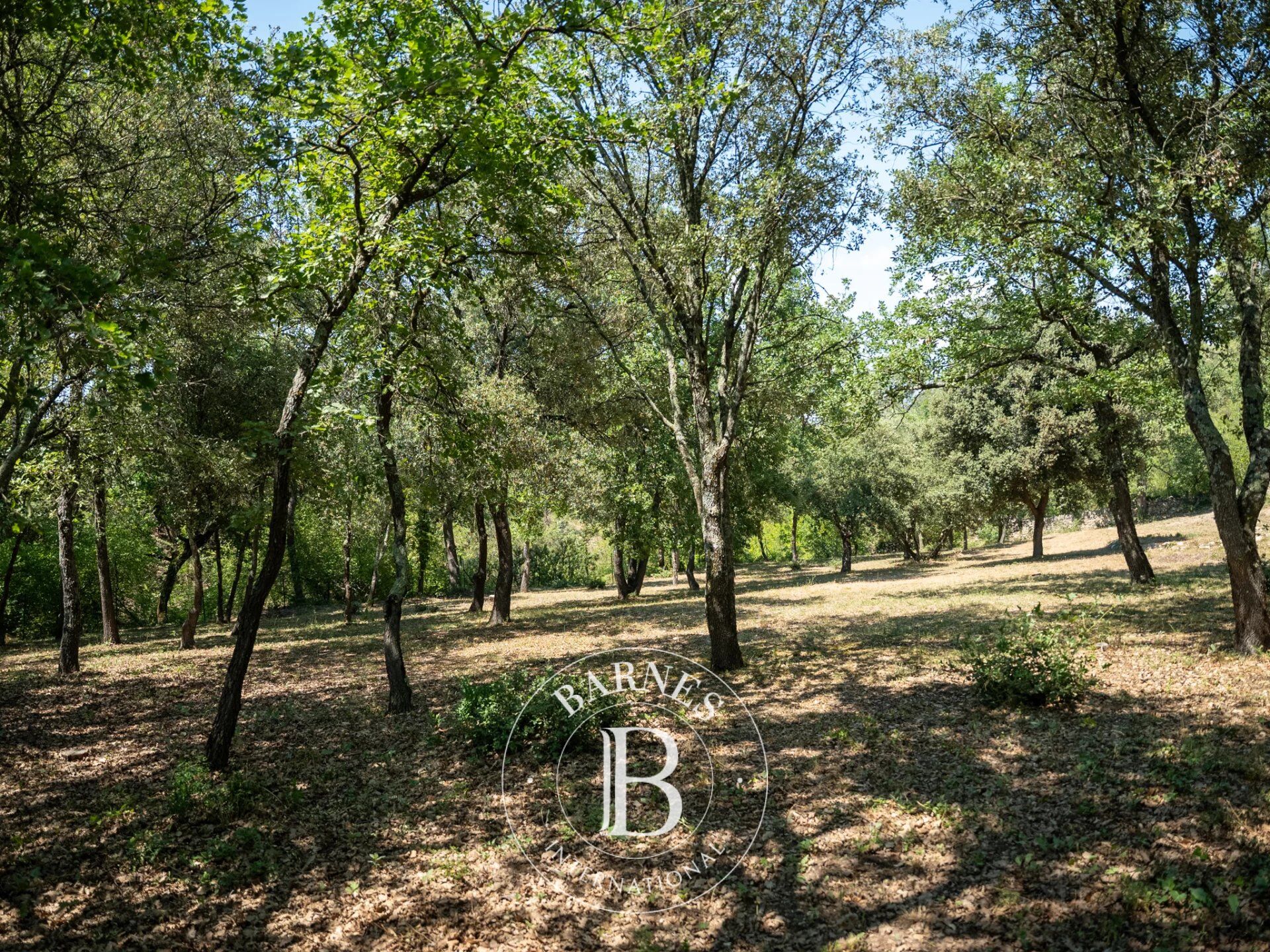 GORDES - STONE HOUSE - 4 BEDROOMS AND A STUDIO - POOL WITH VIEW ON THE LUBERON - picture 3
