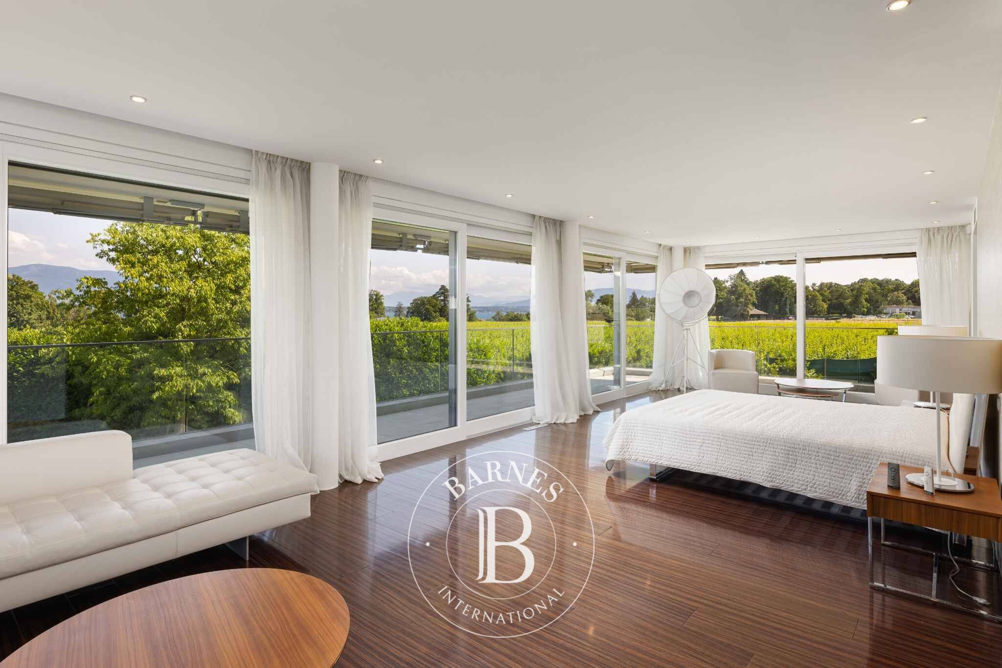 For Sale, Villa Coppet - picture 5