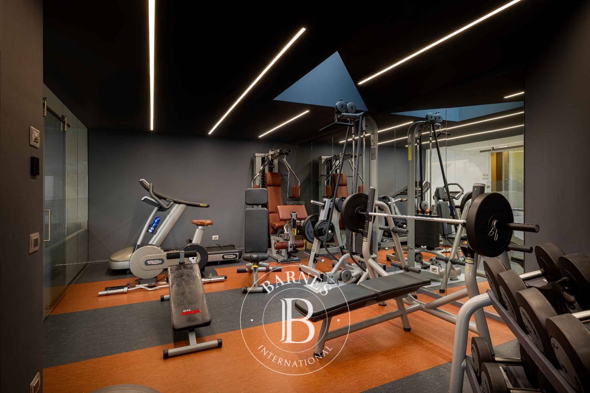 For Sale, Villa Coppet - picture 10