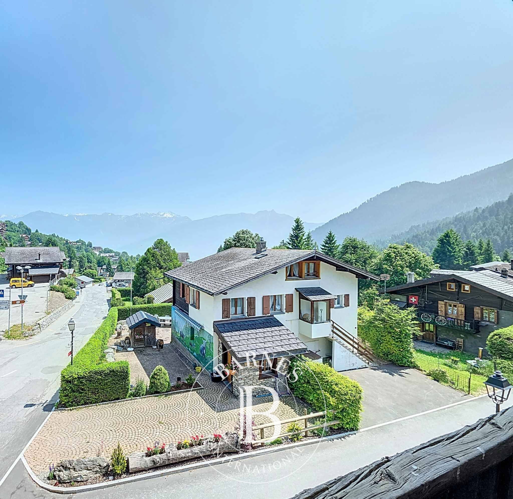 Köy evi Ovronnaz - picture 10