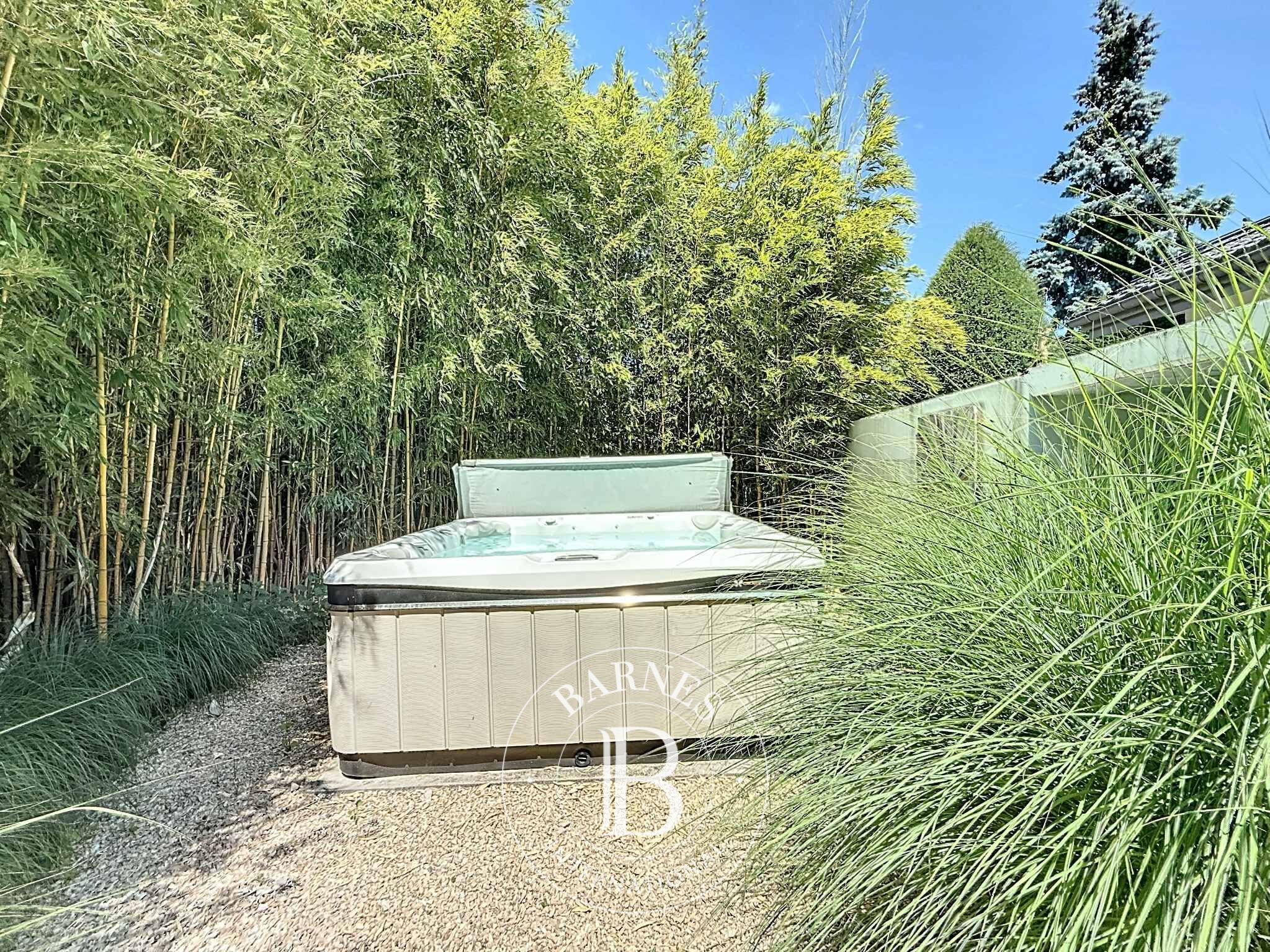 Villa Founex - picture 10