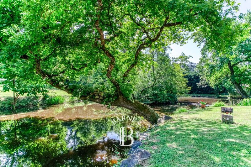 Venta Casa | Écully - picture 2