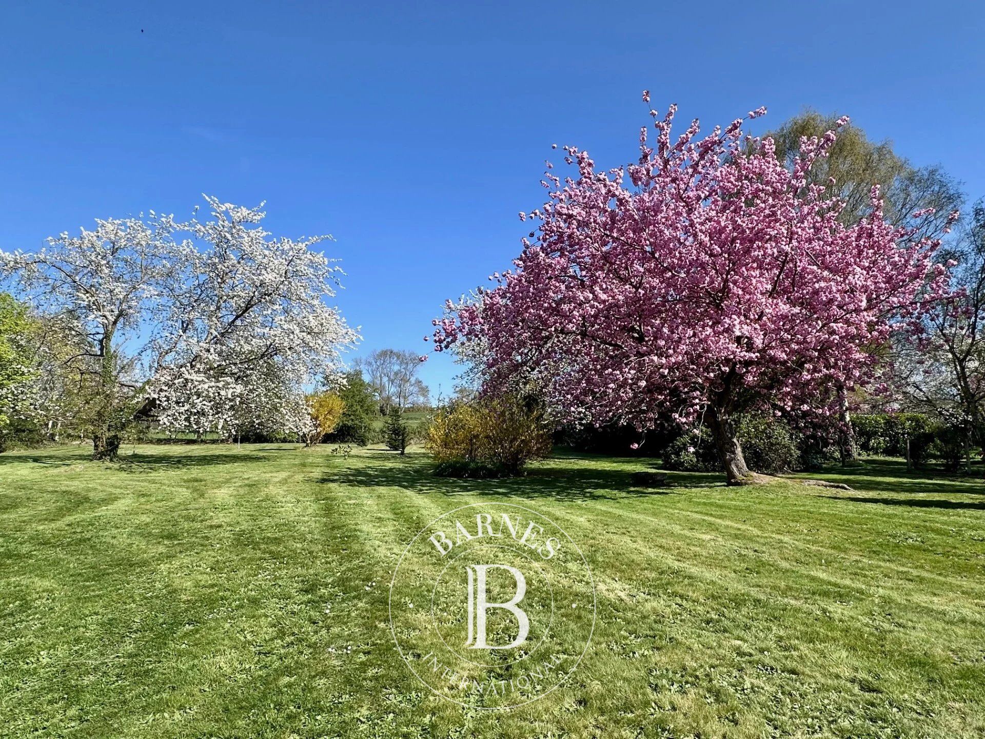 Casa Saint-Samson-de-la-Roque - picture 3