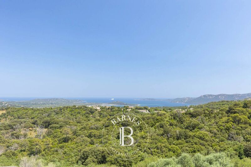 Venta, Villa Porto-Vecchio - picture 1