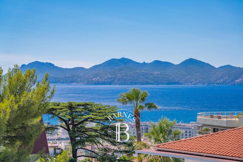 À vendre, Villa Cannes - picture 2