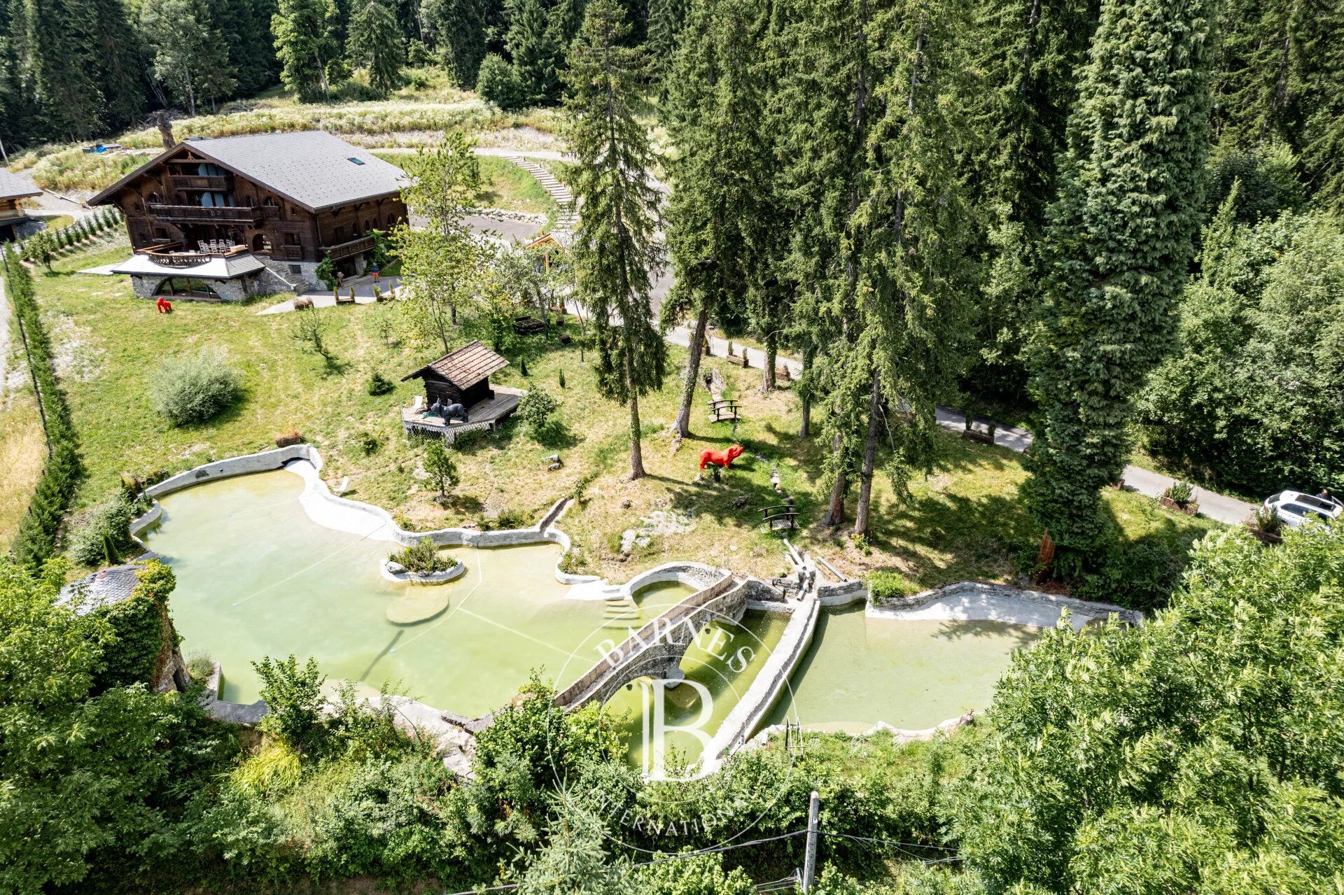 BARNES MONT-BLANC- EXCLUSIVITE - MAGNIFIQUE PROPRIÉTÉ - picture 1