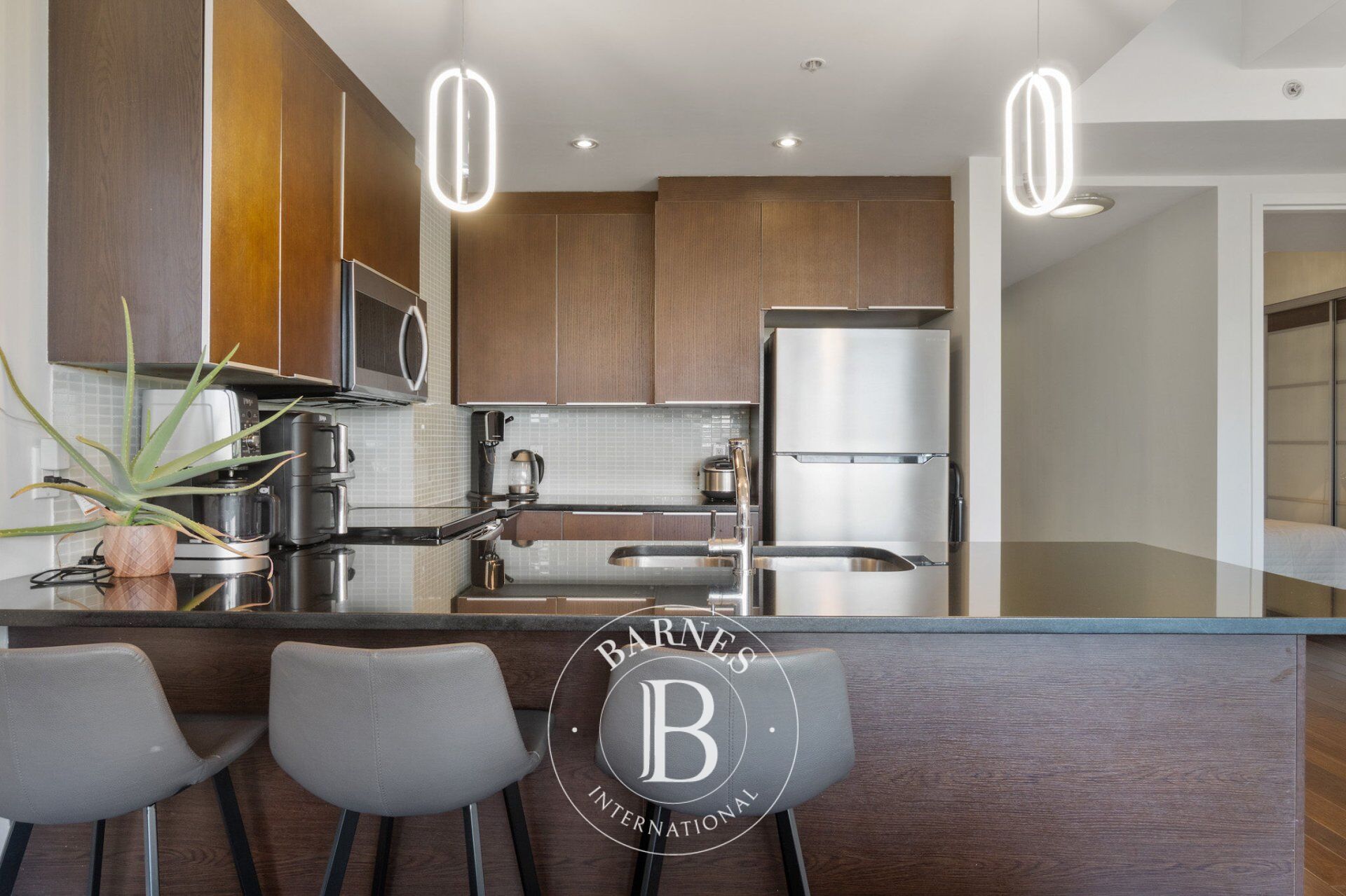 Daire Montréal (Ville-Marie)