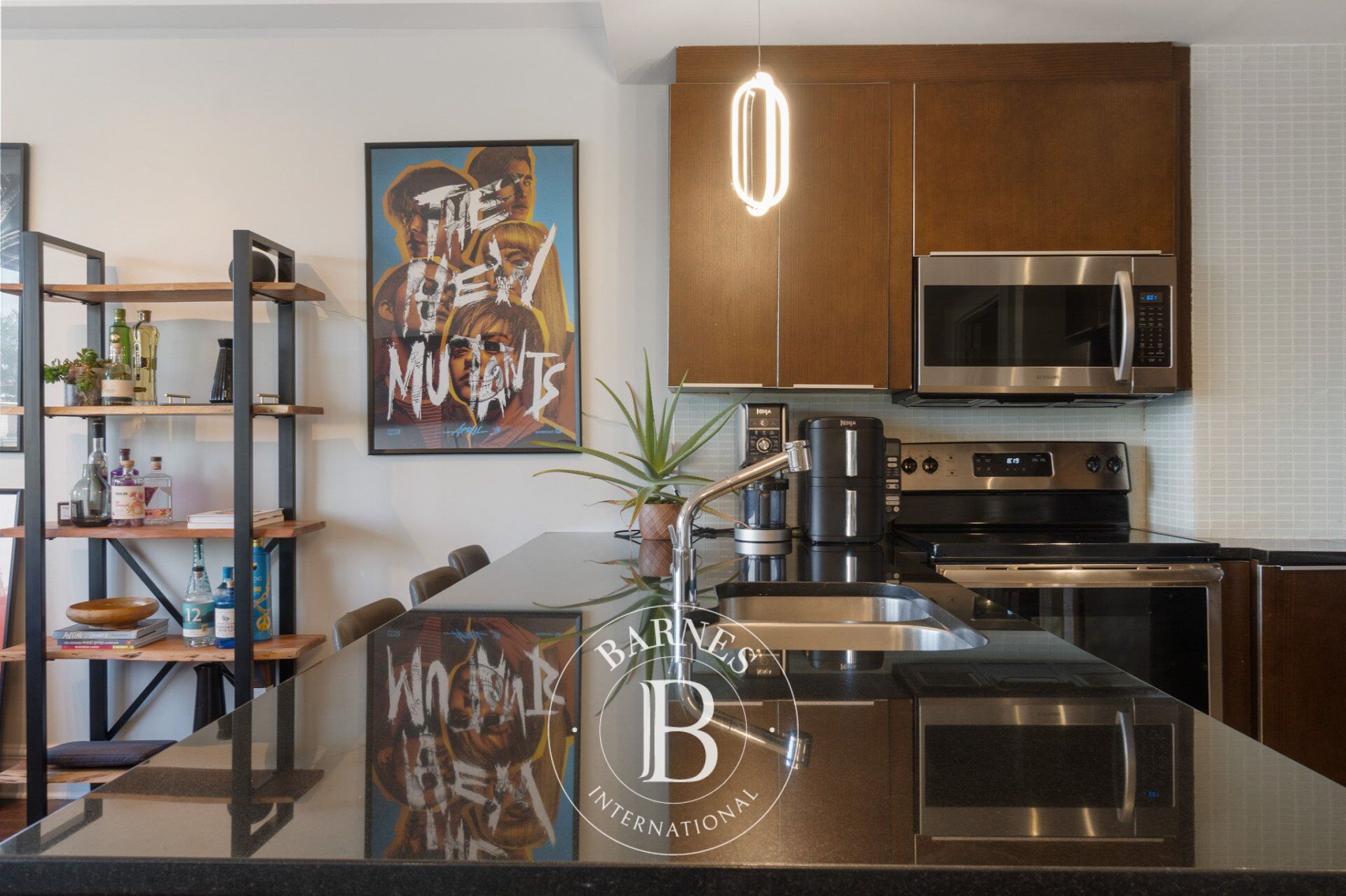 Daire Montréal (Ville-Marie)