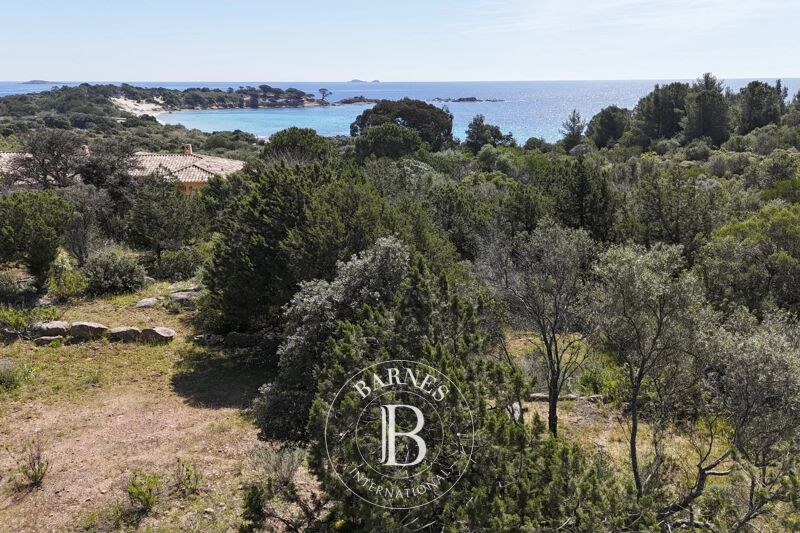 For Sale Plot of land | Porto-Vecchio - picture 2
