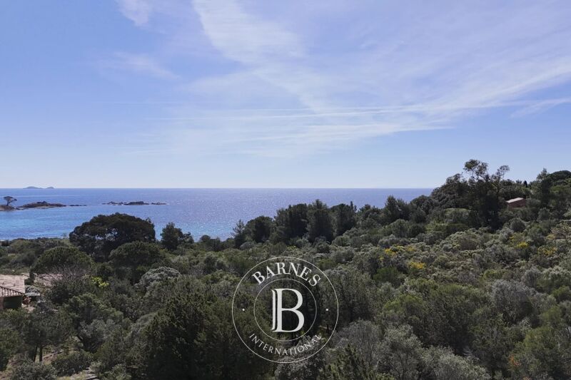 À vendre Terrain | Porto-Vecchio - picture 1