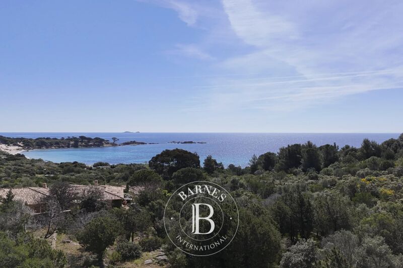 For Sale Plot of land | Porto-Vecchio - picture 3